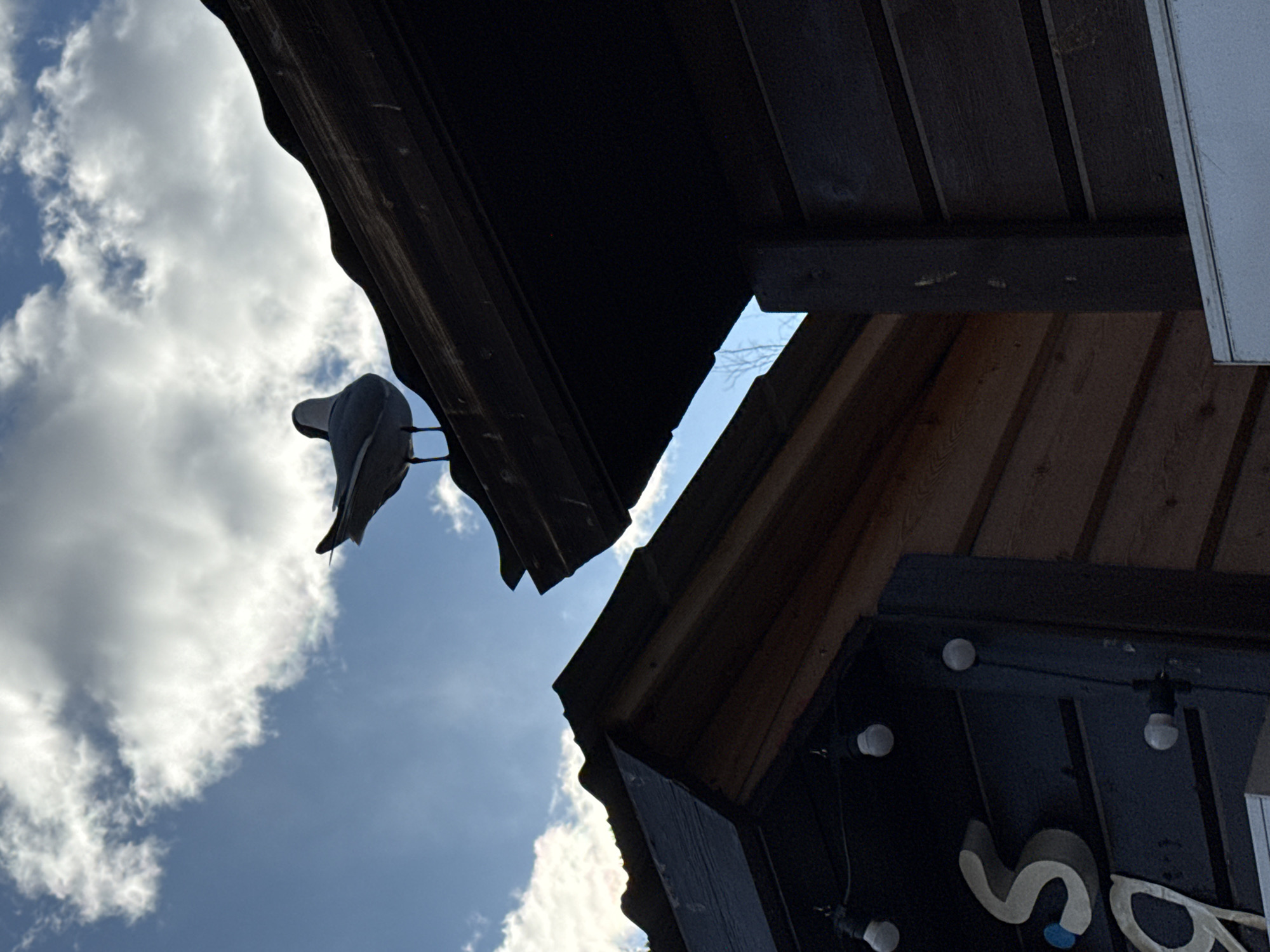 A low-angle shot shows a weathered, dark-colored wooden roof structure, with a decorative seagull figure attached at its edge, against a partly cloudy blue sky. Another structure, also made of wood, is partially visible and features a sign illuminated with light bulbs displaying a white "S" and a partial "O". The image appears to be taken outdoors. The location is not discernable from the content of the image.