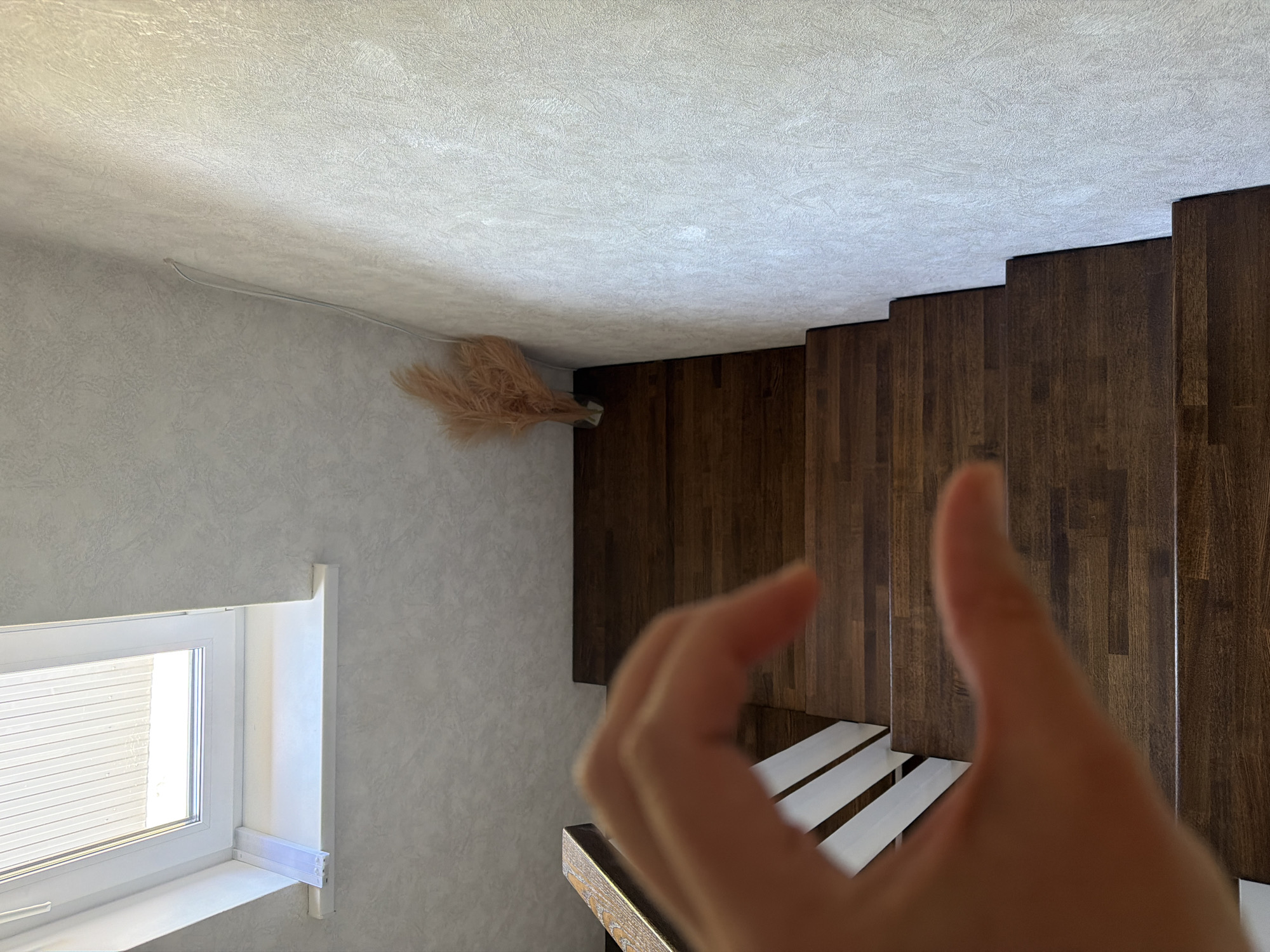 The image depicts a wooden staircase in an indoor setting, possibly in Malinovka, Russia. A hand is visible in the foreground, forming a heart shape with its fingers. The stairs are dark brown and appear to be made of wood. To the left of the stairs, a white handrail with vertical white slats is present. The wall next to the stairs is light gray and textured. At the top of the stairs, a window is visible, and a small bunch of dried pampas grass in a vase sits on the floor near the wall. The lighting suggests daytime, with light coming from the window.