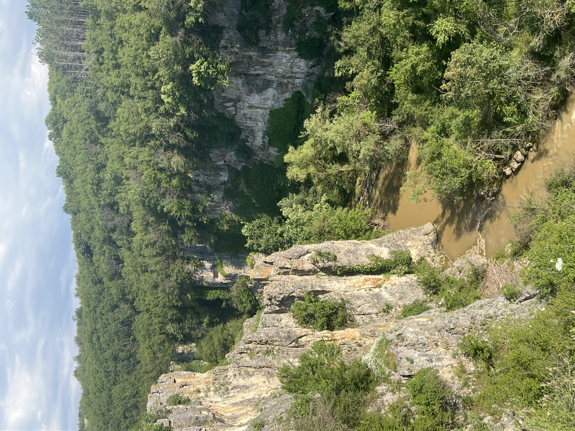The image shows a view down into a river canyon, possibly a ravine or gorge, in an unidentified location. The canyon walls are composed of layered rock formations and are covered in dense vegetation, primarily trees and shrubs. The river at the bottom of the canyon has a muddy, brown color. The sky is visible in the upper left corner and appears partly cloudy. The photograph is taken from an elevated position, looking down into the canyon.