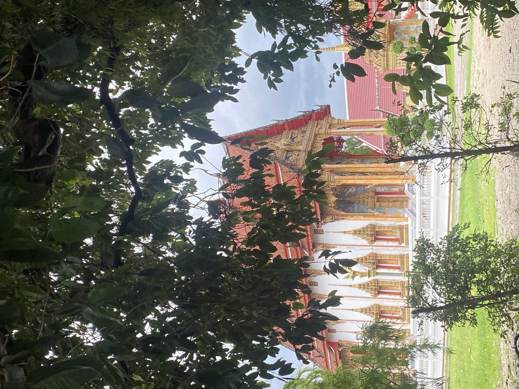 The image depicts a building with intricate gold and red detailing, partially obscured by trees. The building appears to be a temple or similar religious structure. The location is Choeng Thale, Thailand. The image is taken from a low angle, looking up through the foliage of trees. The sky is visible in the gaps between the leaves. The building has multiple levels and decorative spires. The surrounding environment includes green grass and dirt pathways. There are no people visible in the image.