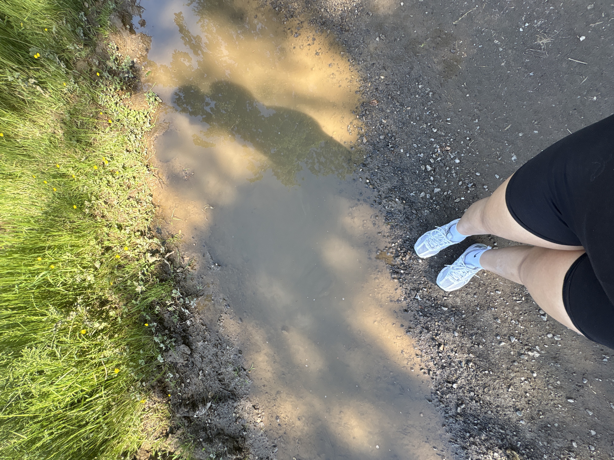 A top-down shot shows a puddle on a dirt path, bordered by green grass on the left and gravel on the right. Two legs wearing black shorts and light blue sneakers stand on the gravel side of the path. The puddle reflects trees. The exact location in Viersen, Germany, cannot be determined from the image.