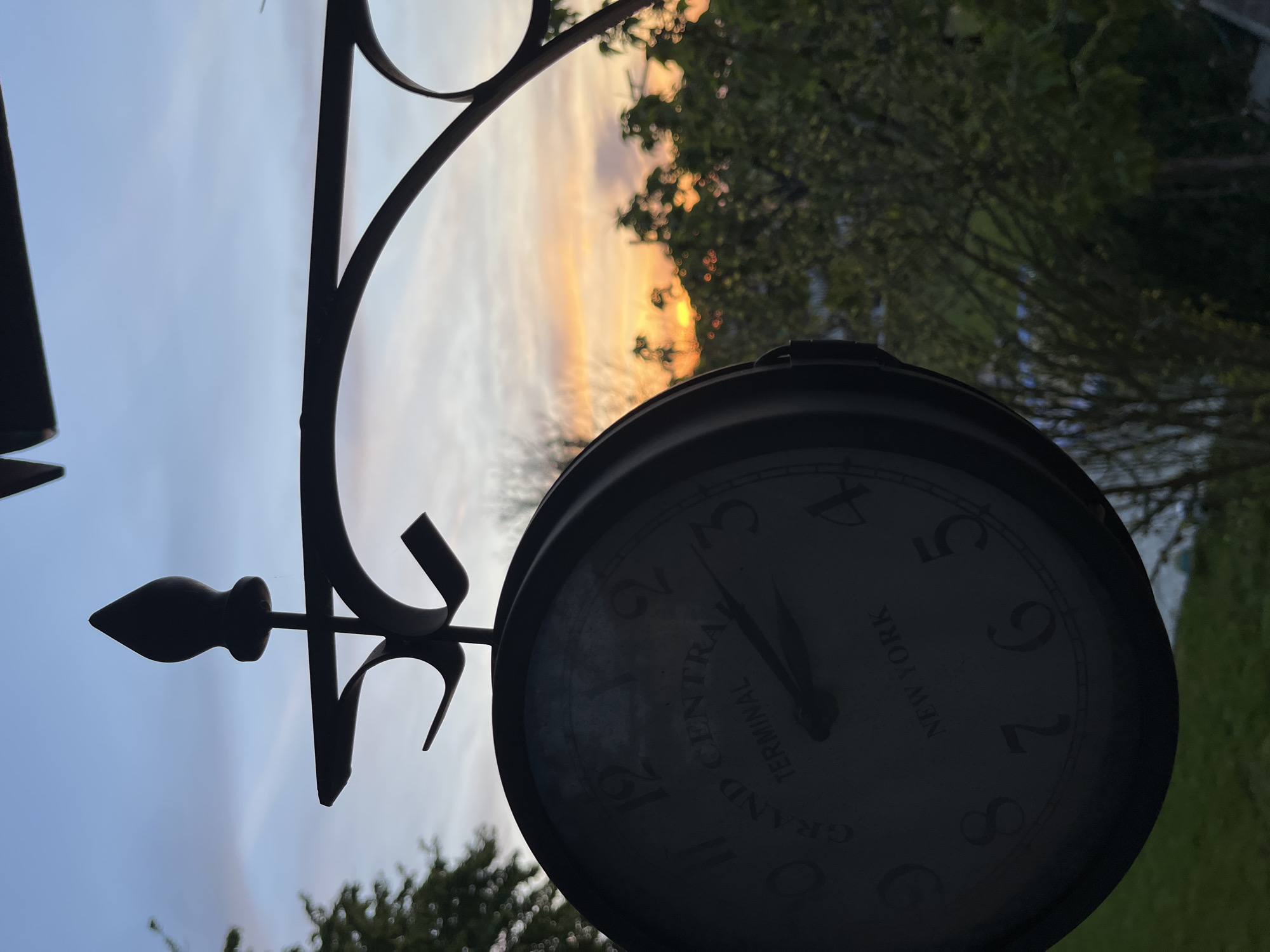 A dusk scene features a hanging clock with the inscription "GRAND CENTRAL TERMINAL NEW YORK" set against a backdrop of trees and a sunset sky. The clock is silhouetted, obscuring specific details of its construction and condition. The scene appears to be outside, with foliage suggesting a garden or park setting. There is no evidence to identify the exact location of the photograph in Pchelnik, Bulgaria.