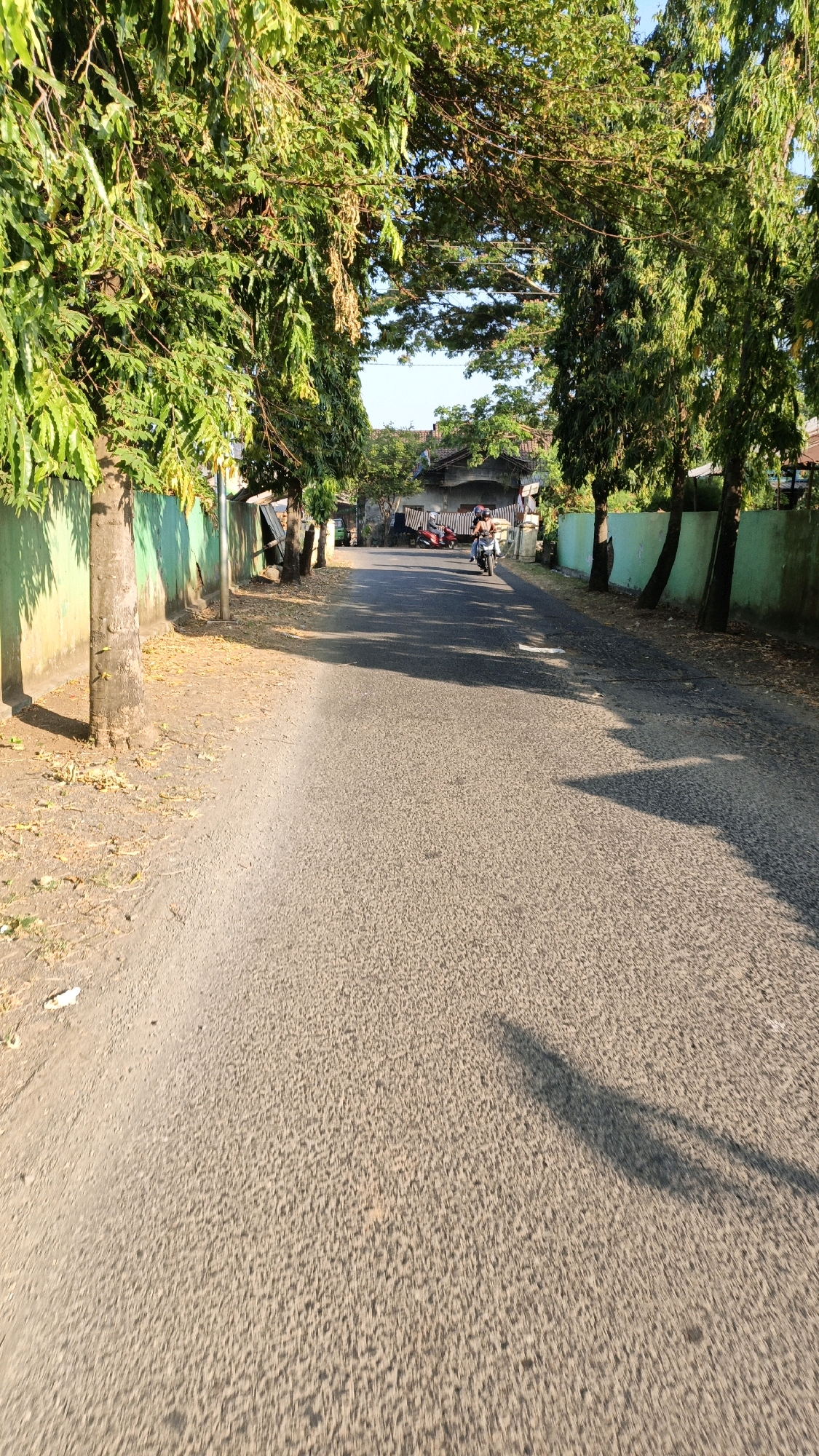 A street in Bandengan, Indonesia, is lined with trees and a green wall. The road is paved and has a rough texture. Sunlight casts shadows on the road. In the distance, two people are riding motorcycles. There are houses and other structures visible along the street.