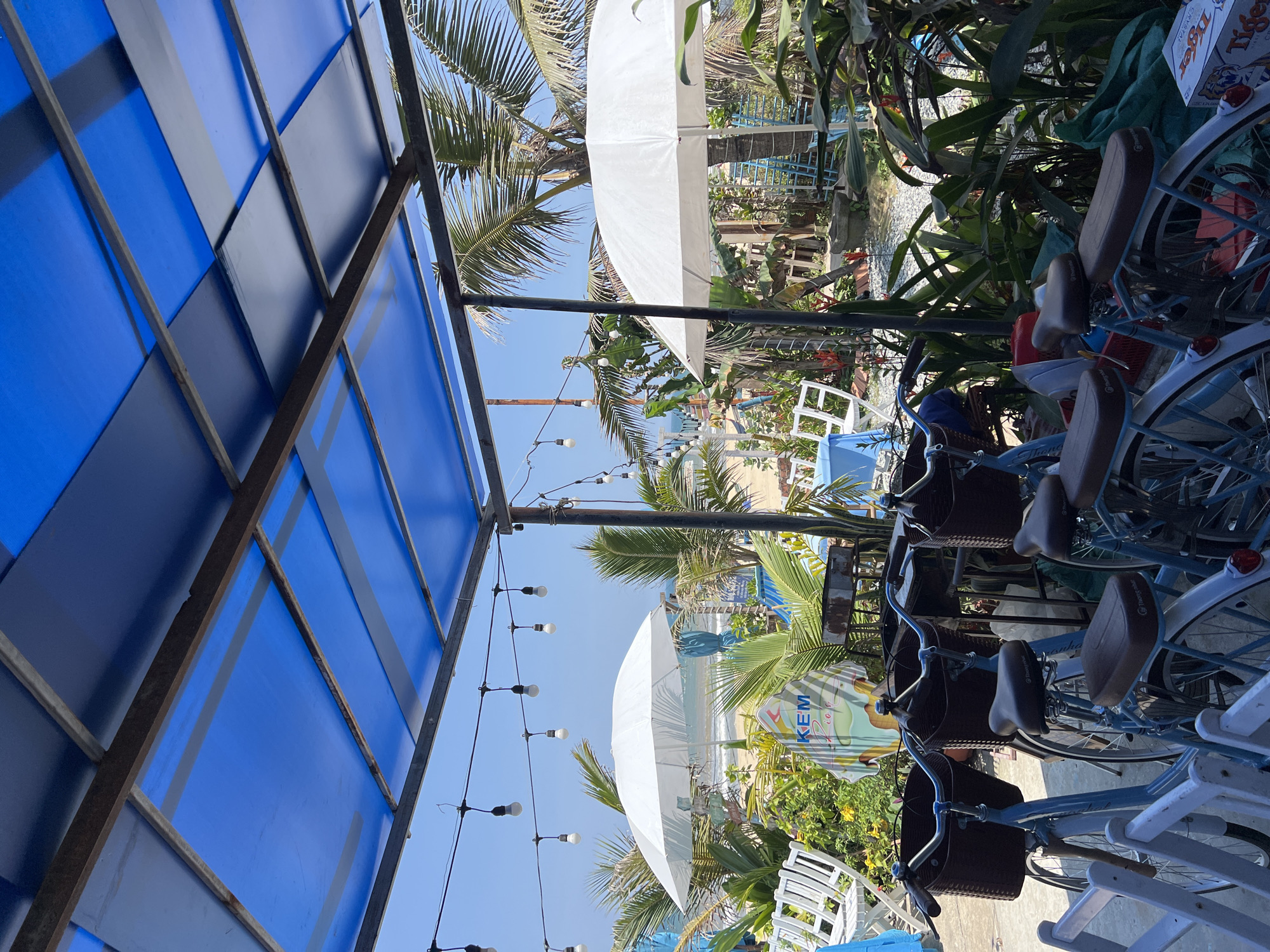 The image captures a scene in Đà Nẵng, Vietnam. In the foreground, several light blue bicycles with brown seats and wicker baskets are parked. Some have promotional signage. Behind the bicycles are tropical plants and white plastic chairs and tables, typical of an outdoor cafe setting. White parasols provide shade. The background reveals a beach with ocean views under a clear sky. A blue-colored roof structure with metal framing dominates the left of the frame. String lights hang above the cafe area.