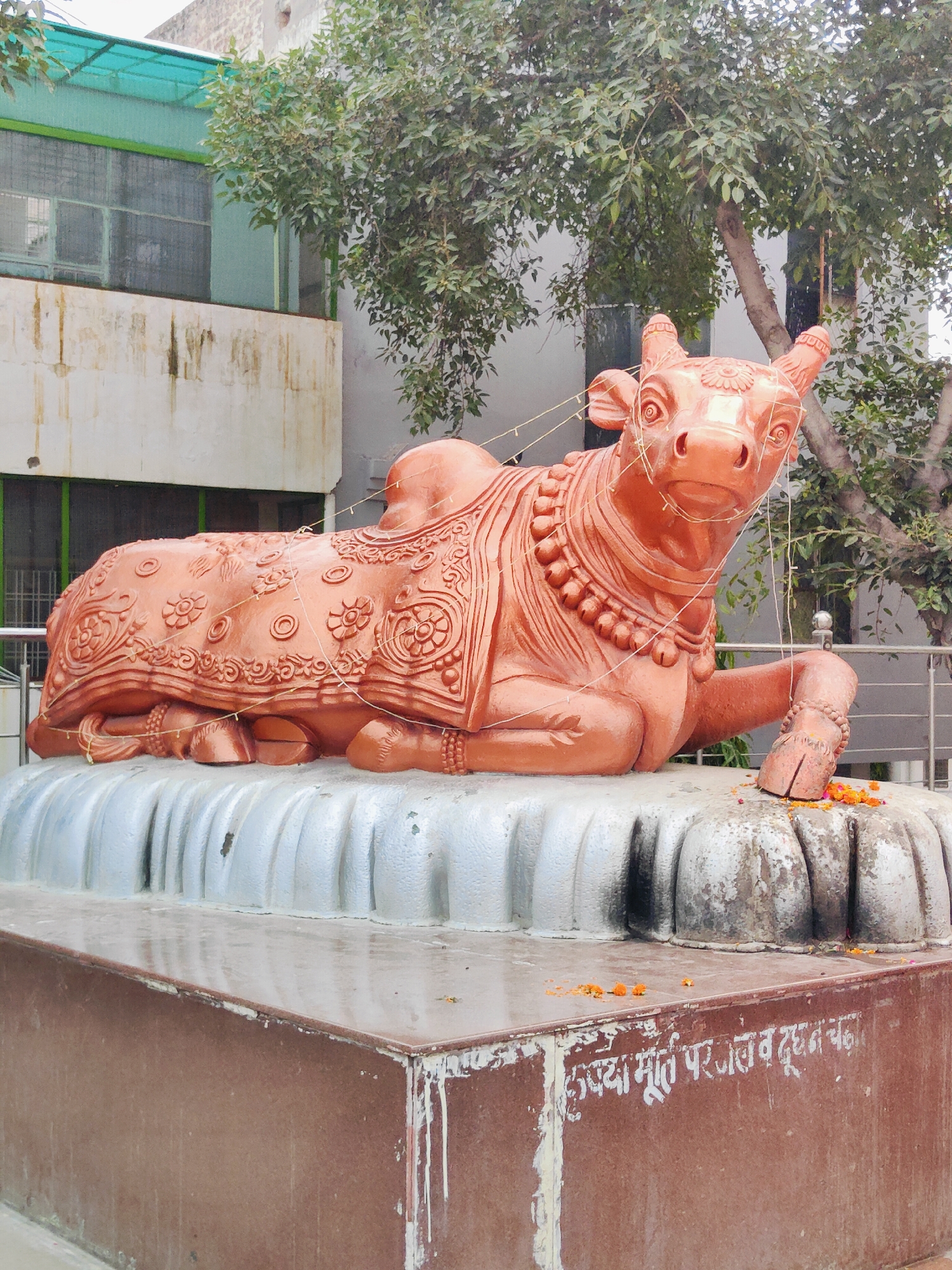 A full shot captures a large, orange-bronze statue of a cow, likely Nandi, a sacred bull in Hinduism. The statue is in a resting position, with its front legs extended and its head raised, looking directly at the viewer. It is adorned with decorative carvings of floral patterns and beads around its neck, and a string of small white lights is draped around its body and head. The cow statue is situated on a tiered, silver-colored pedestal that resembles pleated fabric or layered rocks.
The pedestal sits on a reddish-brown base with weathered white paint drips. Inscribed in white Hindi text on the base are the words "रूपा मूर्ति पर जल व दूध चढ़ाएं," which translates to "offer water and milk to the deity statue." A few small orange and yellow marigold flowers are scattered around the base of the statue, suggesting recent offerings.
Behind the statue, a building with a green-tinted awning and white and grey walls is visible. Trees with green foliage are present to the right of the statue, partially obscuring the building. The overall setting appears to be an outdoor religious or public space. The lighting suggests it is daytime, with diffused natural light. No people are visible in the image. This statue is located at the Sheetla Mata Temple in Gurgaon, India.