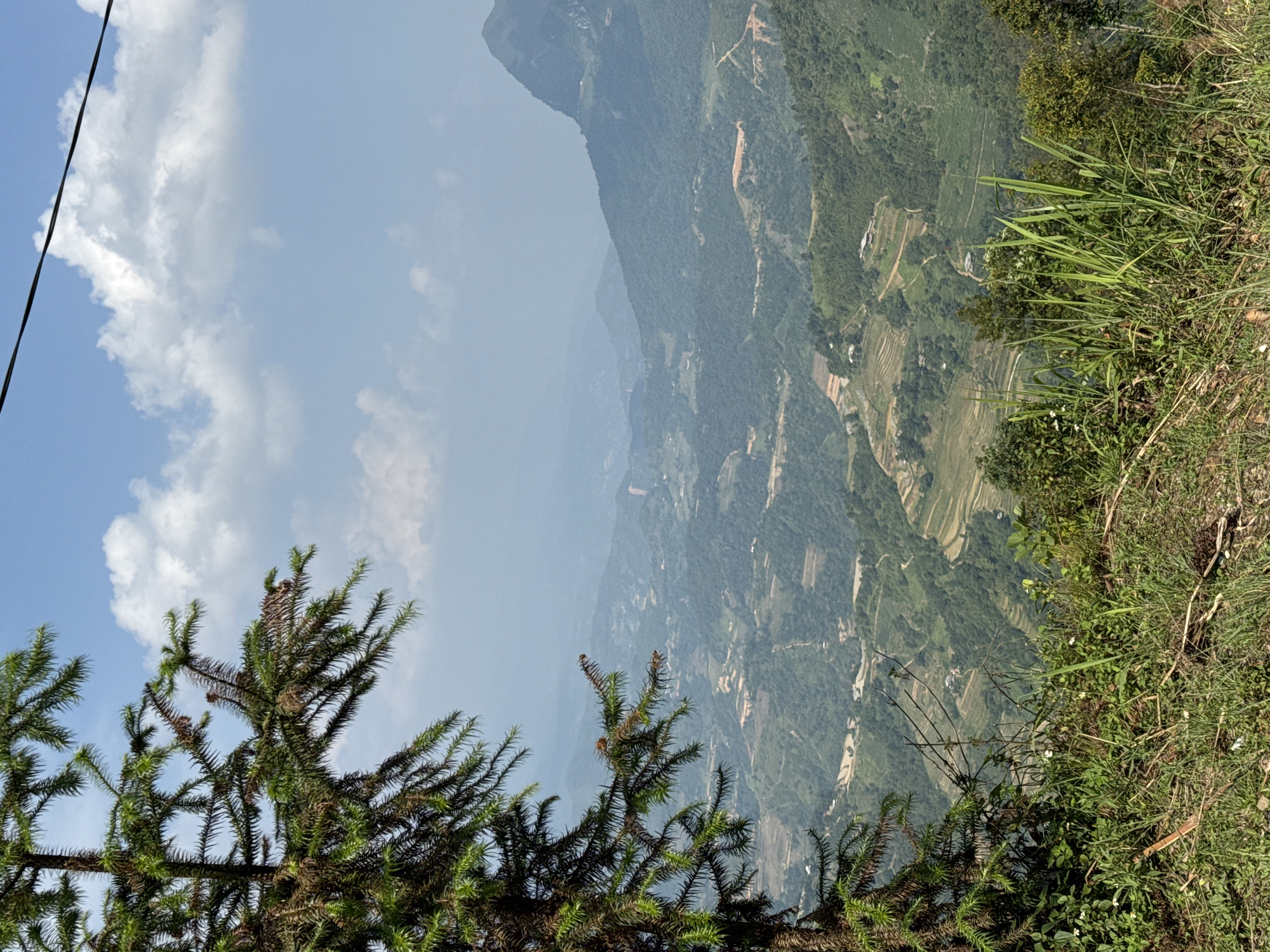 The image shows a mountainous landscape in the Mậu Duệ Commune, Vietnam. In the foreground is the foliage of a coniferous tree on the left and lush green vegetation on the right, marking the edge of a precipice. Beyond, the terraced fields and dwellings nestle in the folds of the green-covered mountains. The background is dominated by hazy mountain peaks under a sky with scattered clouds. A powerline is visible in the upper left corner. The photo is rotated clockwise.