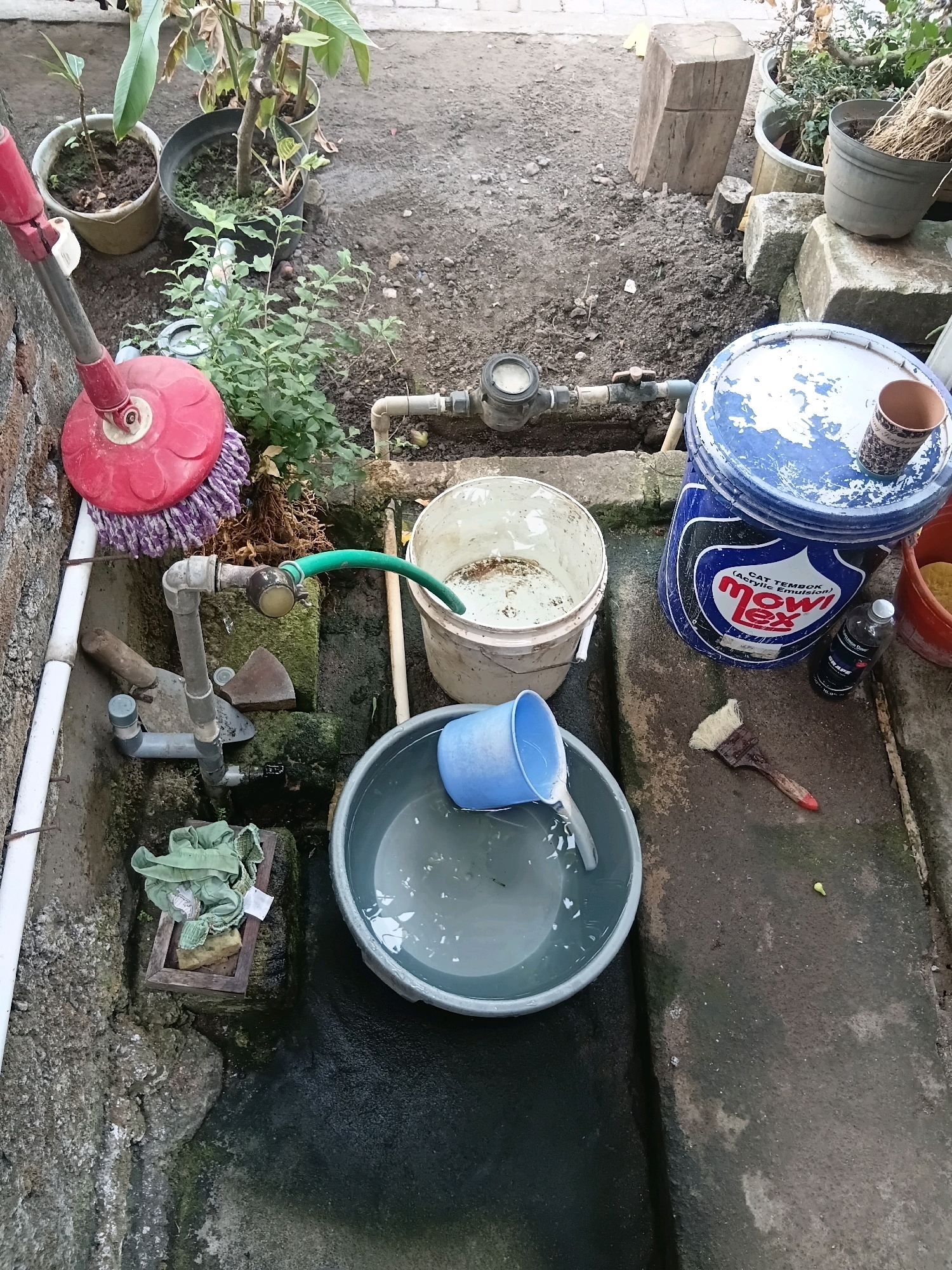 The image depicts a backyard or outdoor area, possibly in Cikal, Indonesia, featuring a collection of items related to cleaning and gardening. In the foreground, a gray basin is partially filled with water, with a blue plastic cup tipping over and pouring water into it. Adjacent to this is a large blue plastic bucket with peeling paint, labeled "MOWILEX (Acrylic Emulsion)". Next to it sits a small black bottle with a silver cap, and a red bucket with a yellow sponge. A paintbrush with a red handle lies on the ground nearby.
To the left, a red mop with purple bristles stands upright, leaning against a rough, grey wall. A green hose is connected to a pipe system, with water flowing from it into a white bucket containing some debris. Further left, a wooden framed container holds folded green cloth and a sponge.
The ground is mostly dirt and concrete, with some plants in pots scattered around. In the background, a water meter is visible on a pipe. The overall impression is one of an active outdoor space where domestic chores are being undertaken.