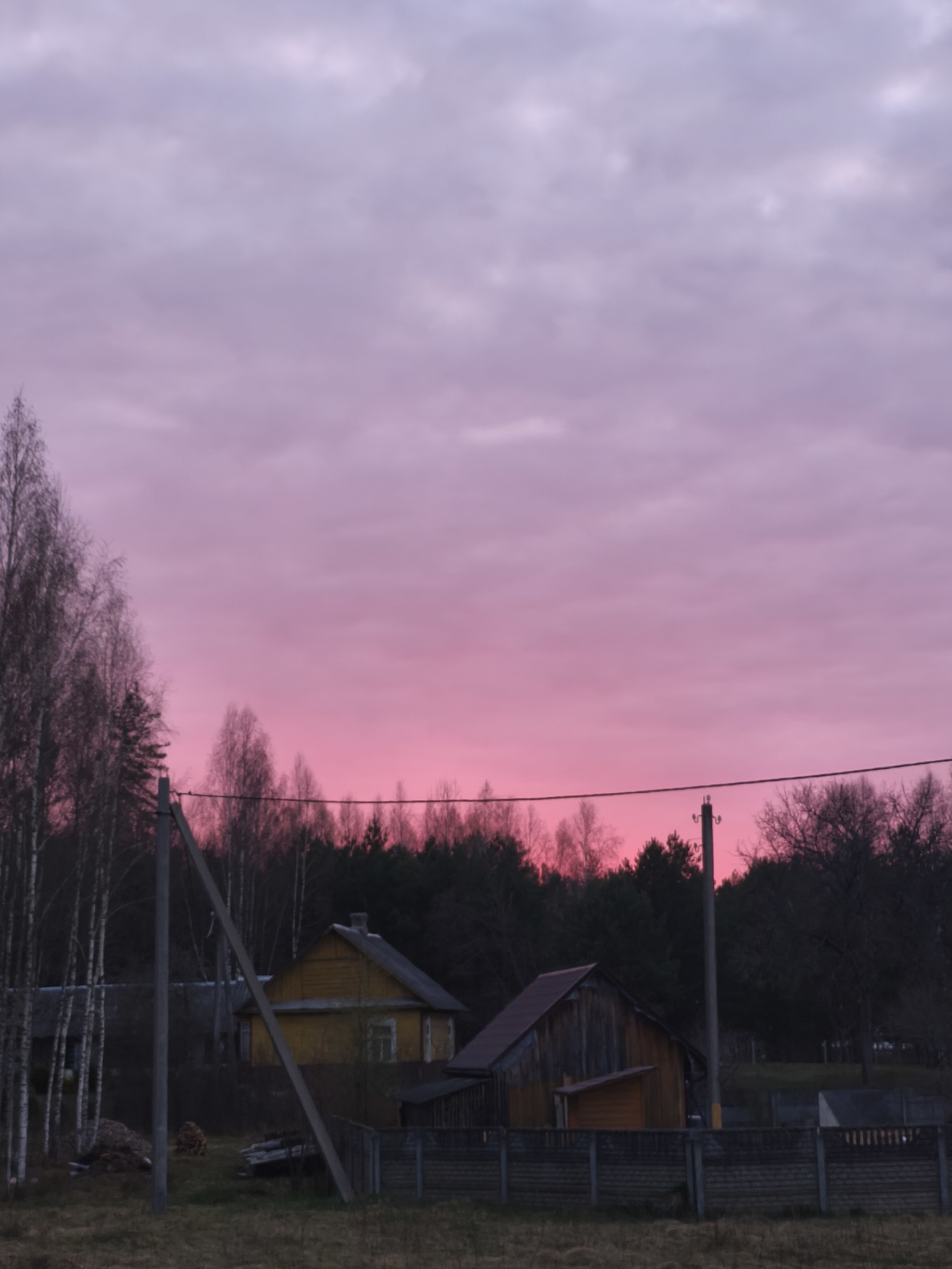 The image depicts a tranquil rural landscape bathed in the vibrant hues of either sunrise or sunset. The sky is the dominant feature, showcasing an intense gradient of color: a fiery magenta and hot pink at the horizon, seamlessly transitioning upwards into softer lavender and light purple, suggesting a cloudy but bright atmosphere.
In the mid-ground, the landscape is defined by the silhouettes of trees and structures against this dramatic sky. On the far left, a cluster of tall, slender deciduous trees with bare branches, possibly birches, stands out. A dense line of dark forest stretches across the mid-horizon. Two grey utility poles are prominent; one on the left leans slightly, partially obscuring a yellow or ochre-colored house with a dark gabled roof. Another taller pole on the right stands near a dark wooden outbuilding or barn with a reddish-brown roof. Electrical wires are strung between these poles, cutting across the lower part of the colorful sky.
A low, dark fence, constructed from concrete posts and wooden slats, runs across the foreground, separating the viewer from the houses. The ground appears covered in dry, brownish grass, suggesting a late autumn or early spring setting. There is no discernible human activity or visible text in the image. The scene evokes a sense of peaceful solitude in a rustic environment, characteristic of a location like Парэчча, Belarus.