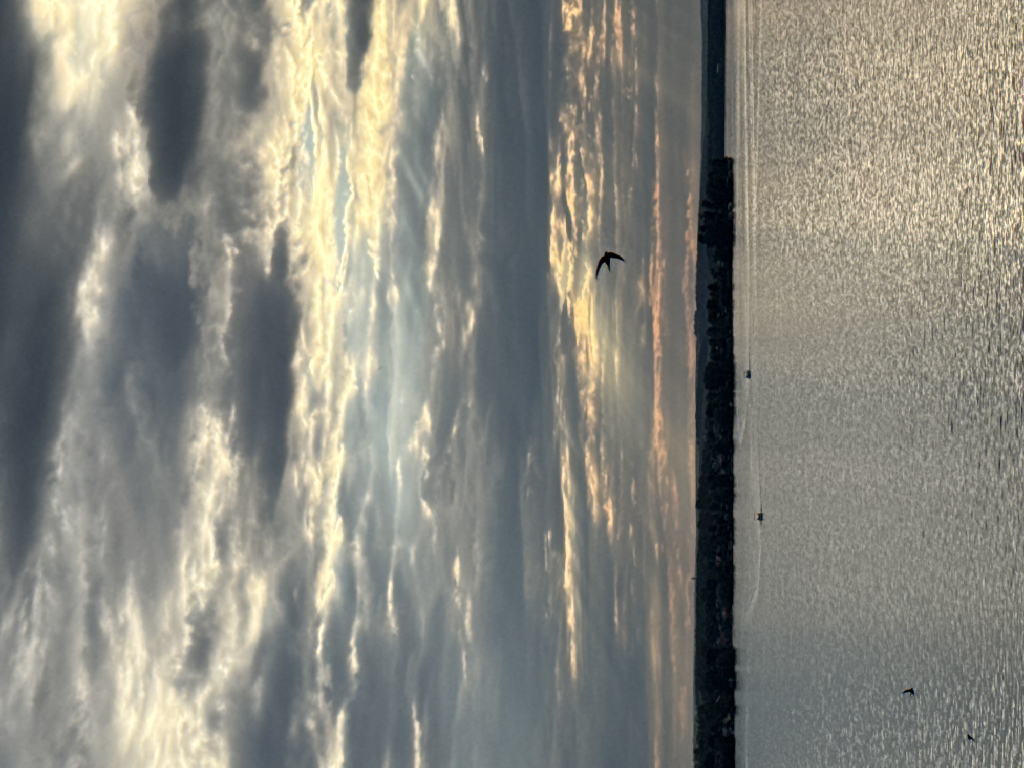 The image depicts a serene lake scene, likely taken in Votkinsk, Russia, given the reference to the location. The sky is dramatic, filled with layered clouds that are illuminated by rays of sunlight breaking through, creating a sense of depth and ethereal beauty. A solitary bird is captured in mid-flight against this backdrop. The lake surface is calm, reflecting the soft light of the sky and creating a shimmering texture. Along the distant shoreline, a strip of dark trees and hints of buildings suggest a populated area, possibly a town or village. A few small boats are visible on the water, adding a subtle sense of scale and human presence to the vast natural landscape. The overall mood is tranquil and contemplative, capturing a moment of natural splendor.