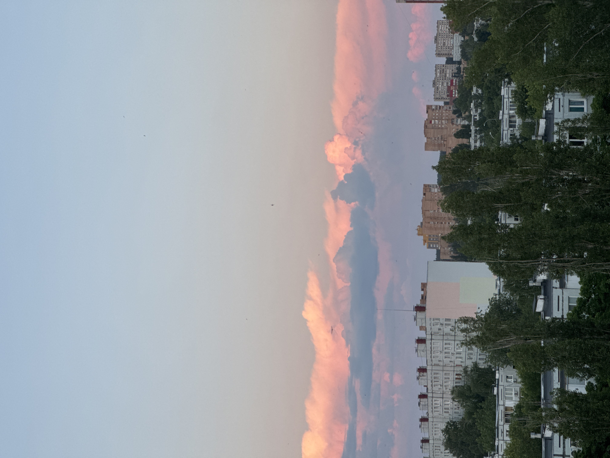 The image shows a cityscape at dusk, with a sky filled with pink and blue clouds. In the foreground, a dense line of green trees partially obscures a row of white and gray buildings. In the mid-ground, more buildings of varying heights and architectural styles are visible, including apartment blocks and what appear to be commercial or institutional structures. The sky above is a gradient of pale blue to soft pink, indicating the setting sun. Several small dark shapes, possibly birds or distant aircraft, are scattered across the sky. The overall impression is of a quiet, urban evening.
