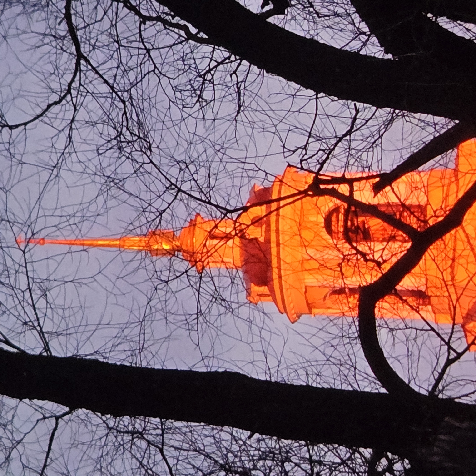 The image shows a close-up view of the spire of the Dormition Cathedral in Vladimir, Russia, illuminated by an orange light, possibly from floodlights. The spire is framed by the dark silhouettes of bare tree branches against a twilight sky. The tree branches obscure portions of the cathedral's structure and the sky. The lighting on the cathedral creates a stark contrast with the dark tree branches. The overall scene is captured from a low angle, looking up towards the spire.