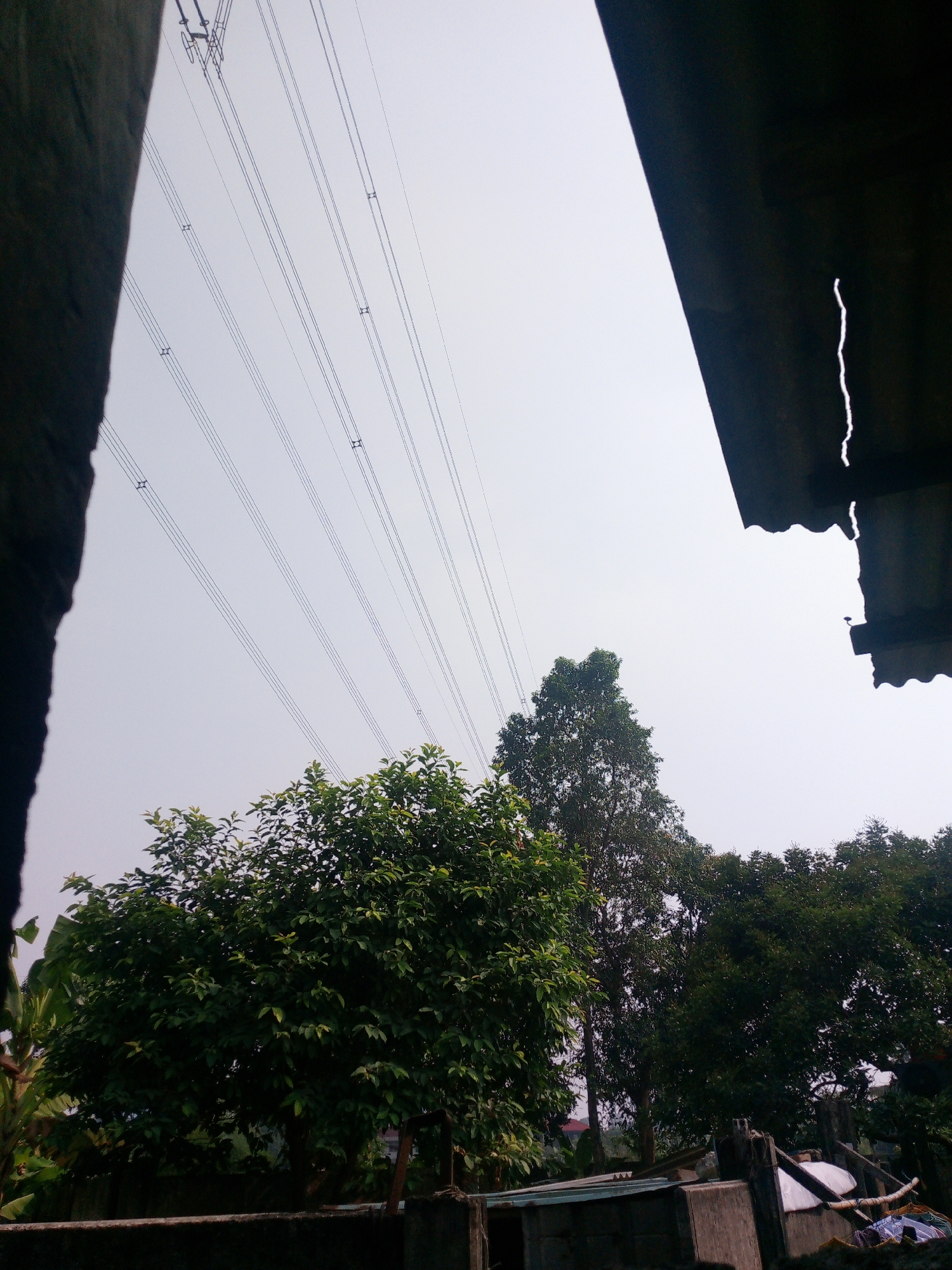The image depicts an outdoor scene with a clear, overcast sky. In the foreground, there are partial views of what appear to be structures, with a dark, textured object on the left and a dark, corrugated roofline on the upper right. A series of parallel power lines traverse the sky from the upper left towards the center and right. Below the power lines, lush green trees are visible, with a large, dense tree dominating the lower left quadrant and a taller, more slender tree to its right. In the background, more trees and some low-lying structures, possibly rooftops and walls, can be discerned. The overall impression is a view of nature juxtaposed with man-made infrastructure, likely taken from a residential area in Dukuh, Indonesia, given the presence of tropical foliage and building styles. No people or animals are visible in the frame.