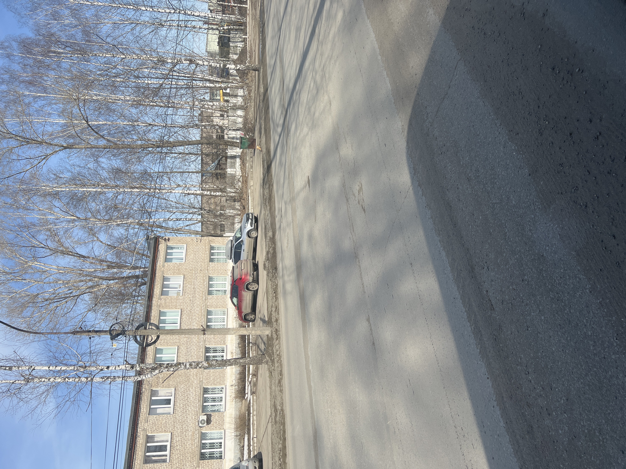 The image depicts a street in what appears to be a residential area in Chaikovsky, Russia. The street is made of asphalt. Along one side of the street is a multi-story brick building with multiple windows. Adjacent to the building are several birch trees without leaves, indicating either late autumn or early spring. Cars are parked along the side of the building. Utility poles with wires are visible. The sky is blue with no clouds. The lighting suggests it is daytime. The large shadow on the right of the image suggests it was taken from a car.
