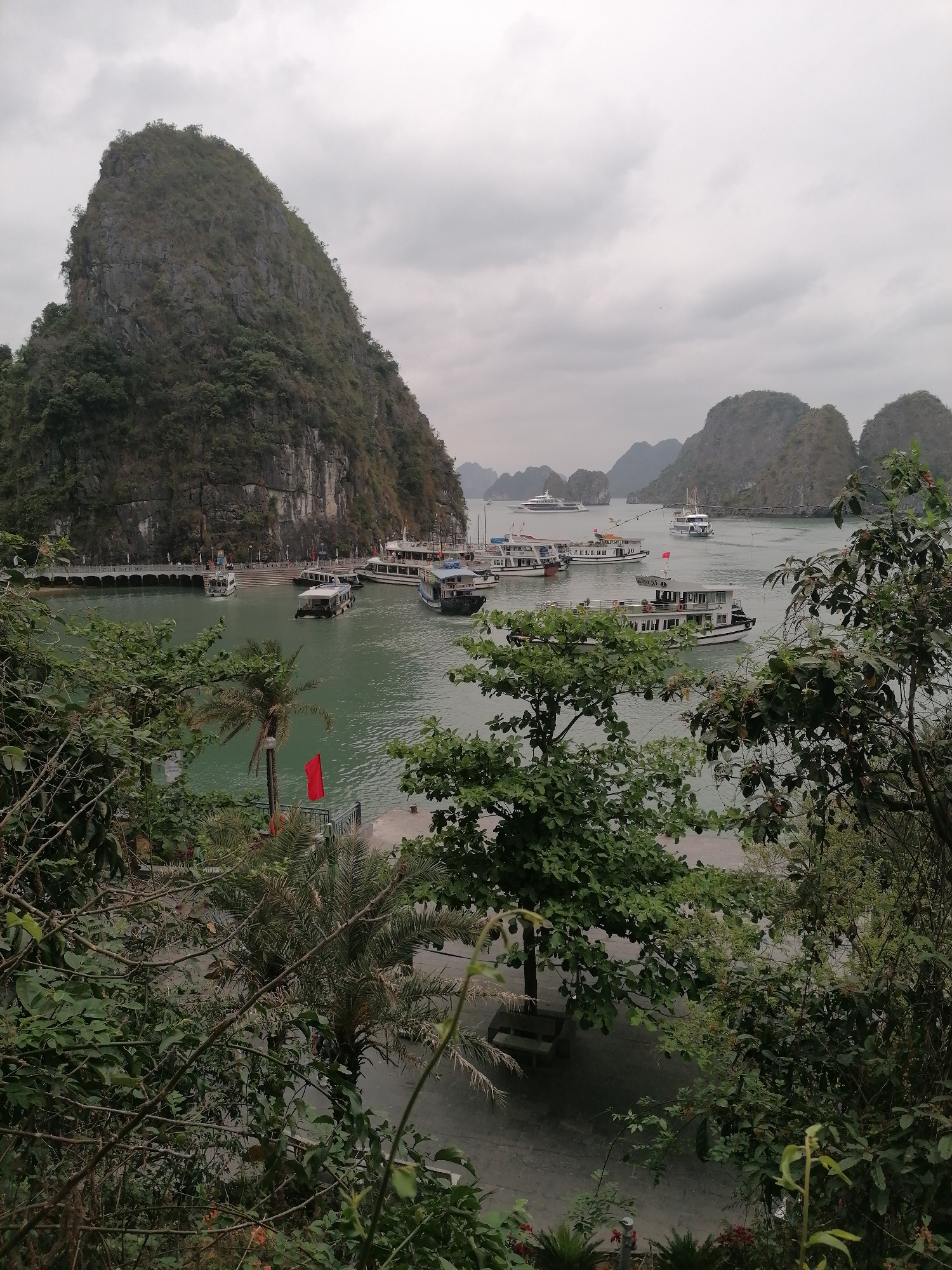 This panoramic image presents a scenic view of a bay in Hồng Gai, Vietnam, characterized by the iconic limestone karsts typical of Hạ Long Bay. The scene is dominated by a large, imposing karst mountain on the left, its steep, rocky slopes largely covered in lush green vegetation. Other smaller karsts are visible in the background, receding into the hazy distance under a uniformly overcast sky.
The bay itself is a hub of maritime activity, populated by numerous boats and ships. Most appear to be multi-decked tourist vessels or cruise boats, with white hulls and prominent windows, indicating their role in sightseeing or transport. Several boats are docked alongside a curved pier or quay at the base of the large karst on the left, while others are moored or navigating further out in the calm, greenish-blue water. One white boat in the mid-ground clearly displays the registration "VN-55" on its side.
The photograph is taken from an elevated perspective, looking down through a dense foreground of green foliage. Various trees, bushes, and a palm tree frame the view, adding a natural depth to the scene. A small, vibrant red flag stands out against the backdrop of the water and greenery, situated near what appears to be a small paved area or lower dock in the lower-left corner. A wooden bench is partially visible among the foreground vegetation.
The time of day is daytime, but the weather is notably overcast, with a heavy, grey cloud cover that creates a soft, diffused light across the landscape. The tranquil waters reflect the subdued tones of the sky and surrounding mountains. The overall impression is of a bustling yet serene natural harbor, actively used for tourism amidst a breathtaking geological setting.