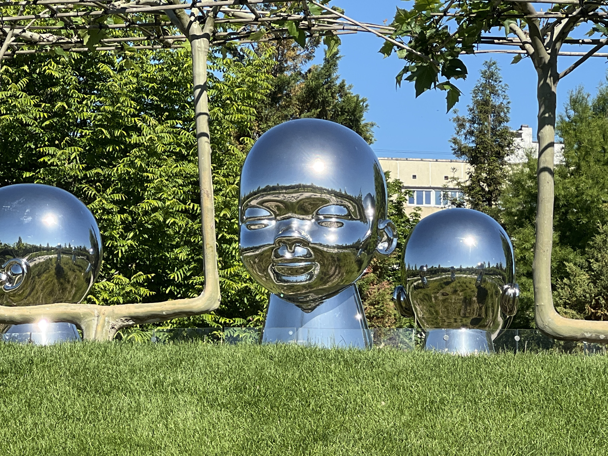 This outdoor scene captures a striking art installation in Krasnodar, Russia, under a bright, clear blue sky. The primary subjects are three large, highly reflective, chrome-like sculptures of stylized baby heads, positioned on a vibrant green lawn in the foreground.
The central sculpture is the largest, depicting a smiling infant face with closed, serene eyes and a broad smile, its polished surface brilliantly reflecting the sun, sky, and surrounding trees. To its left, partially visible, is another similar, smaller head. A third, medium-sized head is situated to the right of the central sculpture, also reflecting its environment. The glossy surfaces of the sculptures capture a distorted panorama of the park setting, including greenery and parts of a building.
Overhead, a sturdy wooden pergola structure, partially covered with green vines and leaves, spans across the top of the image, providing an organic frame to the metallic art. Beyond the lawn and sculptures, a dense backdrop of various green trees and bushes creates a natural barrier. In the mid-ground, a light-colored building with visible windows can be seen behind the foliage.
The time of day is clearly sunny daylight, evidenced by the sharp shadows cast by the pergola and trees, and the intense specular highlights on the sculptures. The weather appears perfect, with no clouds in the sky. No activity is taking place; the image focuses purely on the static art installation and its surroundings. There is no visible text in the image.