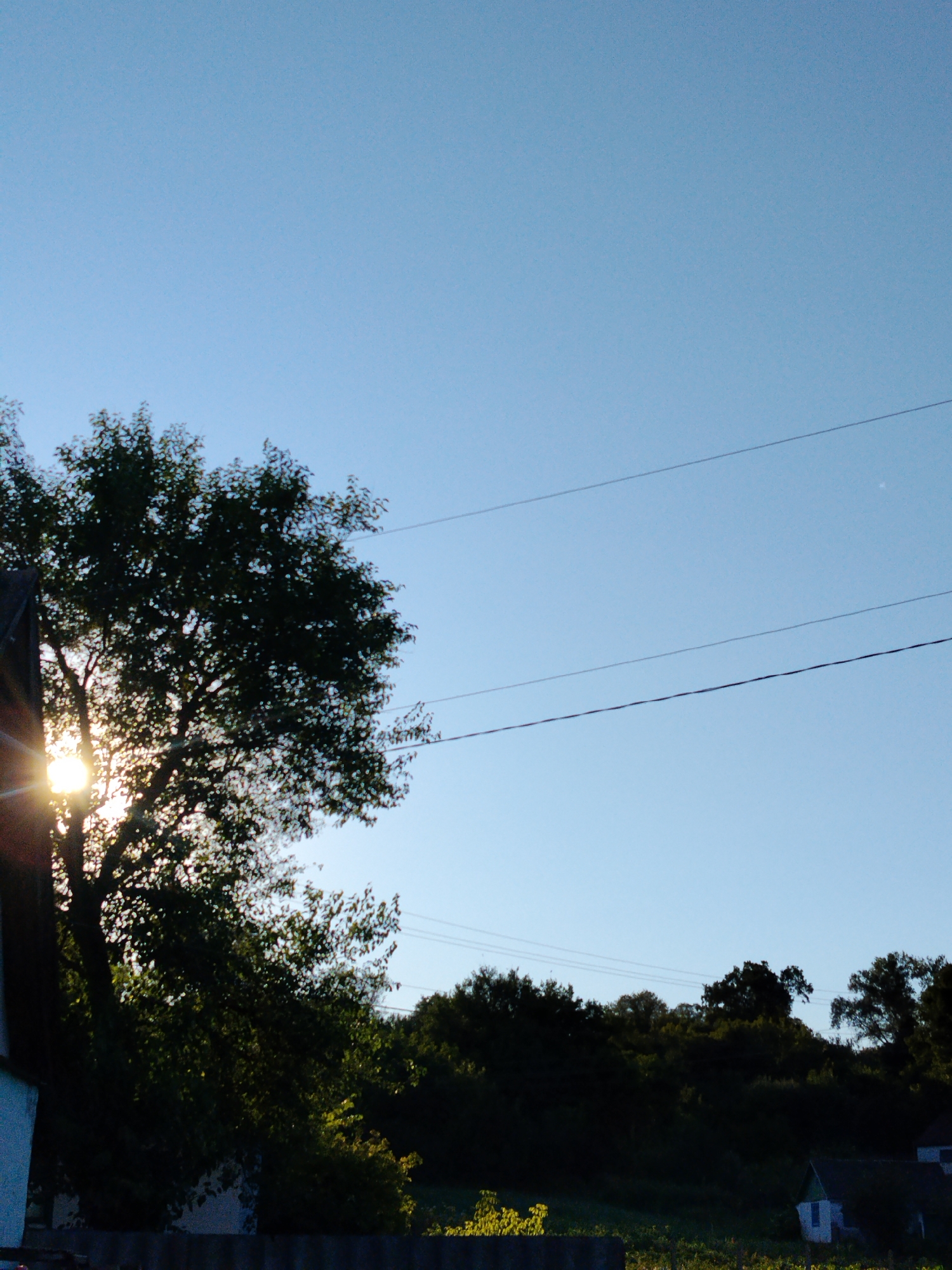 In Ustyvytsia, Ukraine, a treeline with a large tree in the foreground is silhouetted against a clear, light blue sky. The sun is setting and peeking through the branches of the tree on the left side of the image, creating a lens flare effect. Power lines are visible stretched across the sky in the middle ground. In the distance, rolling hills covered in dense trees form a dark line against the horizon. At the bottom right of the image, a small, white building with a green roof is partially visible, along with other structures and vegetation.