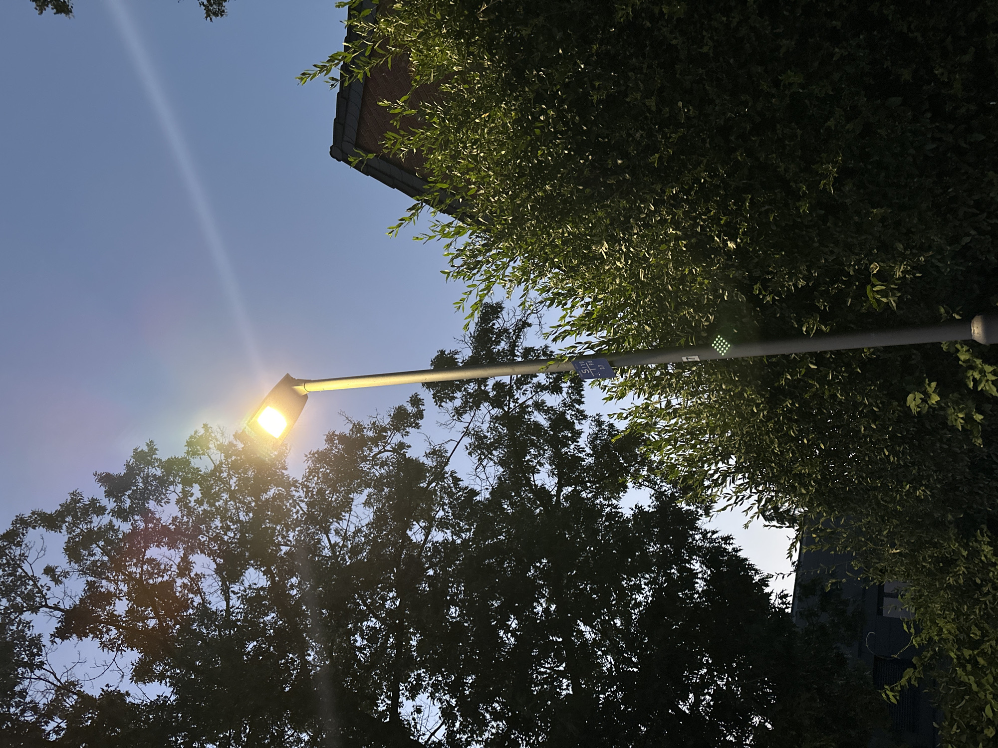The image shows a lamppost with a lit lamp at the top, positioned to the left of center. The lamppost is gray and has some stickers on it, including a blue sticker with white text and numbers, and a section with multiple green lights. The lamppost is surrounded by dense green foliage on the right and a large, dark-leaved tree on the left. In the background, a portion of a dark-tiled roof of a building is visible behind the foliage. The sky is a clear blue. The scene is outdoors, likely in a suburban or residential area. The light from the lamp creates a lens flare in the upper right portion of the image. The overall lighting suggests it is either dusk or dawn.
