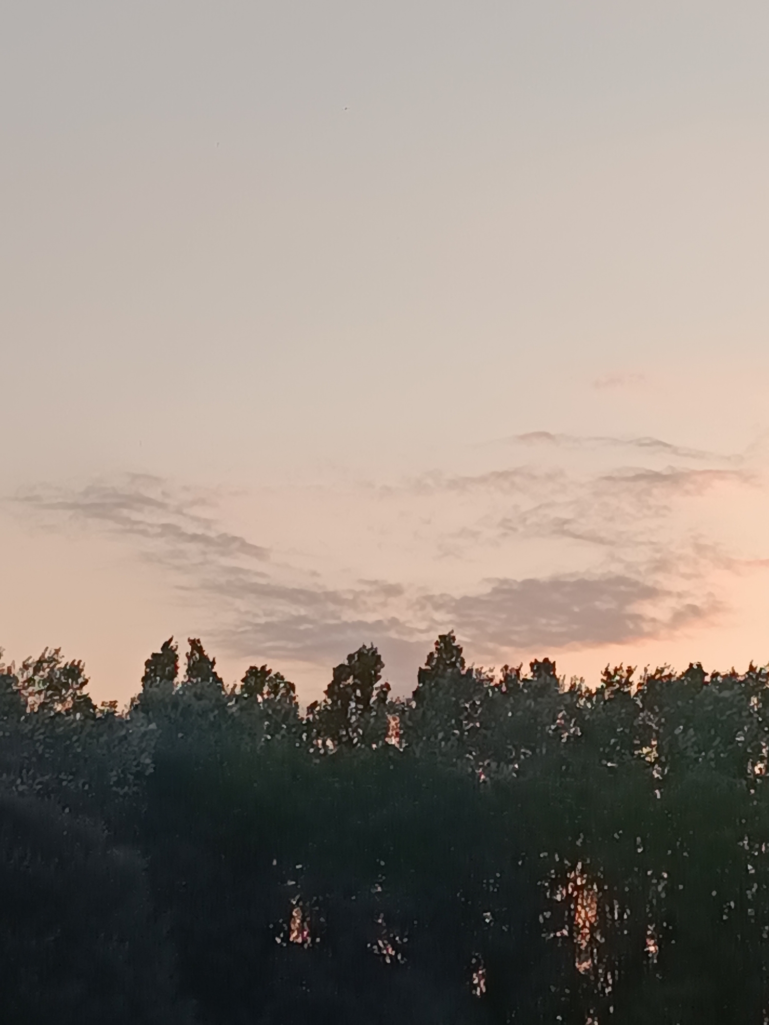 A landscape image captures a tree line against a pale sky with wispy clouds. The lower portion of the image features a dark silhouette of dense foliage, suggesting a forest or dense grove. The upper portion of the image is dominated by a soft, gradient sky that transitions from a light peach or pink hue at the horizon to a pale, almost white tone at the top. Scattered, thin clouds are visible in the sky, tinged with the same subtle peach and pink colors as the sky itself, indicating either sunrise or sunset. The overall mood is serene and tranquil. The location is identified as Casalmaggiore, Italy.