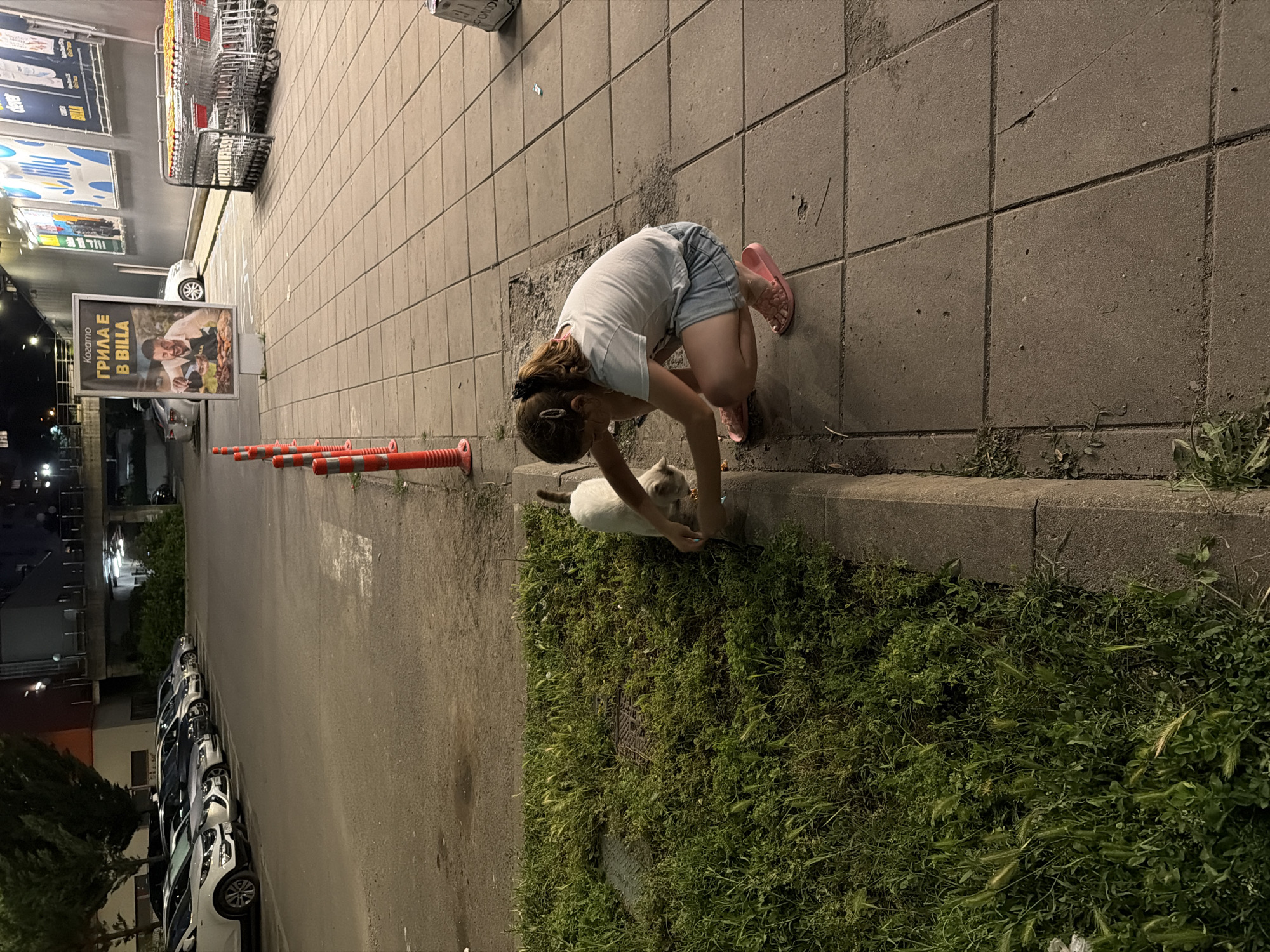 This night-time image captures an urban scene outside a Billa supermarket in Burgas, Bulgaria, likely near bul. "Yanko Komitov" 4. In the foreground, a young female with light-colored hair, wearing a white t-shirt, denim shorts, and pink flip-flops, is seen squatting on a concrete tiled pavement. She is interacting with a light-colored cat, possibly a Siamese mix, which stands on an adjacent overgrown grassy strip. Her hands are positioned near the cat's head, indicating feeding or petting.
To the immediate left of the pavement, a line of orange and white flexible bollards separates the pedestrian area from a parking lot where several cars are lined up. Beyond the parked vehicles, trees and the facade of an apartment building are visible, along with an elevated road structure in the far background. Manhole covers are present within the grassy strip.
To the right, a stack of metal shopping carts is positioned against a grey building wall. This wall features multiple large advertising posters, including one prominently displaying a man grilling with the Bulgarian text "Когато ГРИЛА Е В BILLA" (When the GRILL is at BILLA), confirming the location as a Billa supermarket. The scene is illuminated by artificial street and building lights, creating distinct shadows.