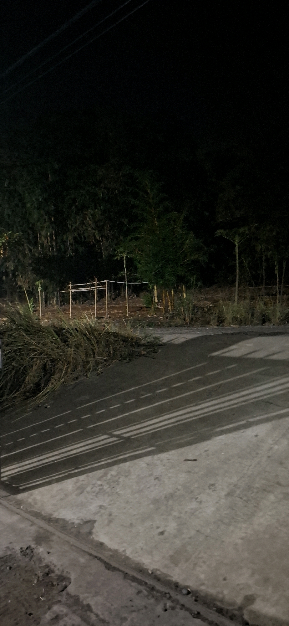 This is a nighttime photograph taken outdoors in Cibinong Hilir, Indonesia. The scene depicts a roughly paved surface in the foreground, marked with dashed white lines that appear to be road markings, illuminated by the shadow of an unseen light source casting parallel stripes across it. To the left and rear of the paved surface is a pile of dried grass and vegetation. Beyond the vegetation and a dirt area, a dense cluster of tall, thin trees, likely bamboo, forms the background. In the mid-ground, a simple, unfinished wooden structure with horizontal beams and vertical supports is visible amongst the trees. Overhead, two thin, dark lines, possibly power lines, are faintly visible against the dark night sky. The overall lighting suggests artificial illumination from an unseen source, creating strong shadows and rendering much of the background in deep darkness. There are no visible people or animals in the frame.