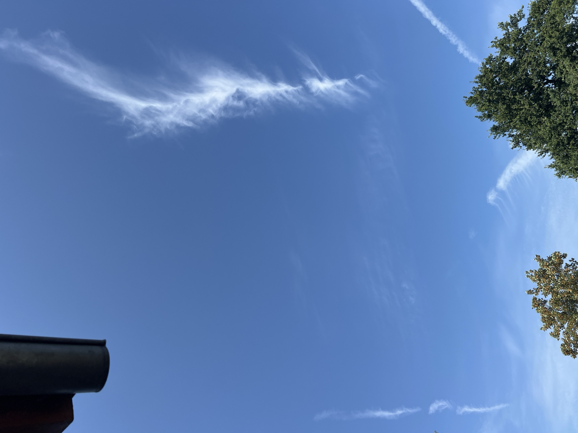 A close-up, high-angle outdoor shot captures a clear, vibrant blue sky with wispy white clouds. In the upper left corner, a dark, cylindrical object, possibly part of a building's overhang or gutter, is visible. The majority of the frame is filled with the sky, with one prominent, elongated cloud stretching diagonally from the upper right towards the center. Another faint, thin cloud trails vertically on the left side of the image. At the bottom of the frame, the tops of two trees are visible, one on the left with autumnal foliage in shades of brown and green, and a larger, dense green tree on the right. The overall impression is a peaceful, sunny day.