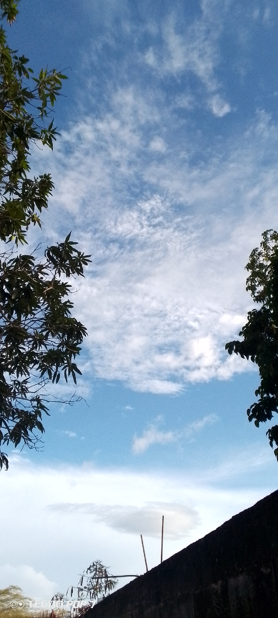 The image depicts a sky scene, likely taken from a lower vantage point, looking upwards. The sky is a vibrant blue, dotted with scattered white clouds of varying densities. On the left side of the frame, the dark green foliage of a tree extends into the upper left quadrant, with branches and leaves partially obscuring the sky. On the right side, a portion of a tree canopy, also dark green, is visible in the upper right quadrant. The lower portion of the image is dominated by a dark, textured surface, likely a wall or rooftop, that slopes upwards from the bottom right corner towards the center. Two thin, vertical wooden poles are visible protruding from this dark surface. In the bottom left corner, there is a visible watermark that reads "TECNO". The environment appears to be outdoors, with natural light suggesting daytime. No people or animals are visible in the frame. The overall scene is a juxtaposition of natural elements (sky and trees) and man-made structures. The location of Altagracia, Venezuela, provides a geographic context for this outdoor, possibly residential or urban, setting.
