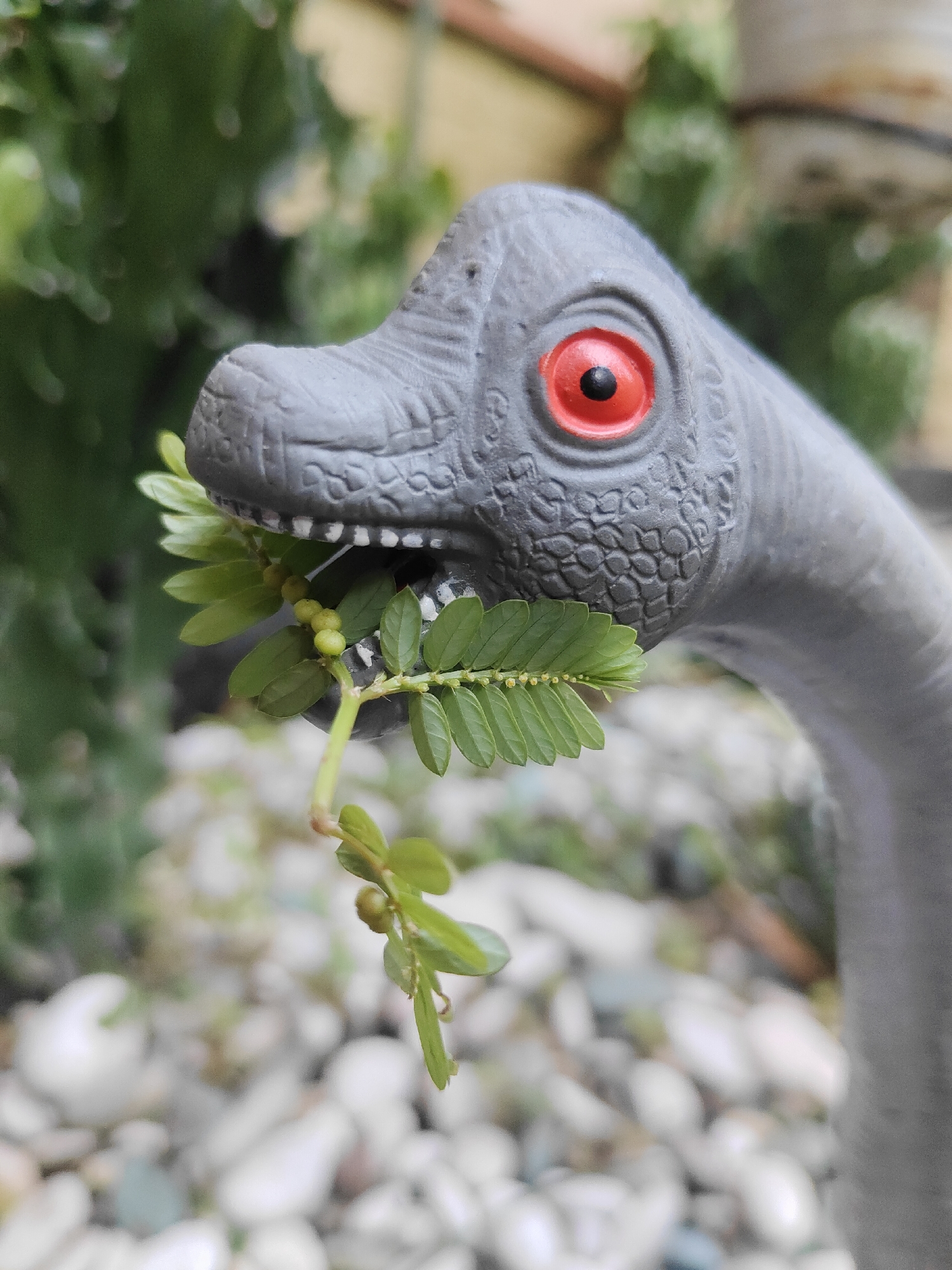 A close-up, eye-level shot focuses on the head and neck of a gray, plastic dinosaur toy. The dinosaur's mouth is open, holding a sprig of small green leaves with tiny yellow buds. The dinosaur has a textured gray skin pattern and a bright red eye with a black pupil. The background is blurred, showing green foliage and white pebbles. The scene appears to be outdoors, possibly in a garden or yard. The location is identified as Surabaya, Indonesia.