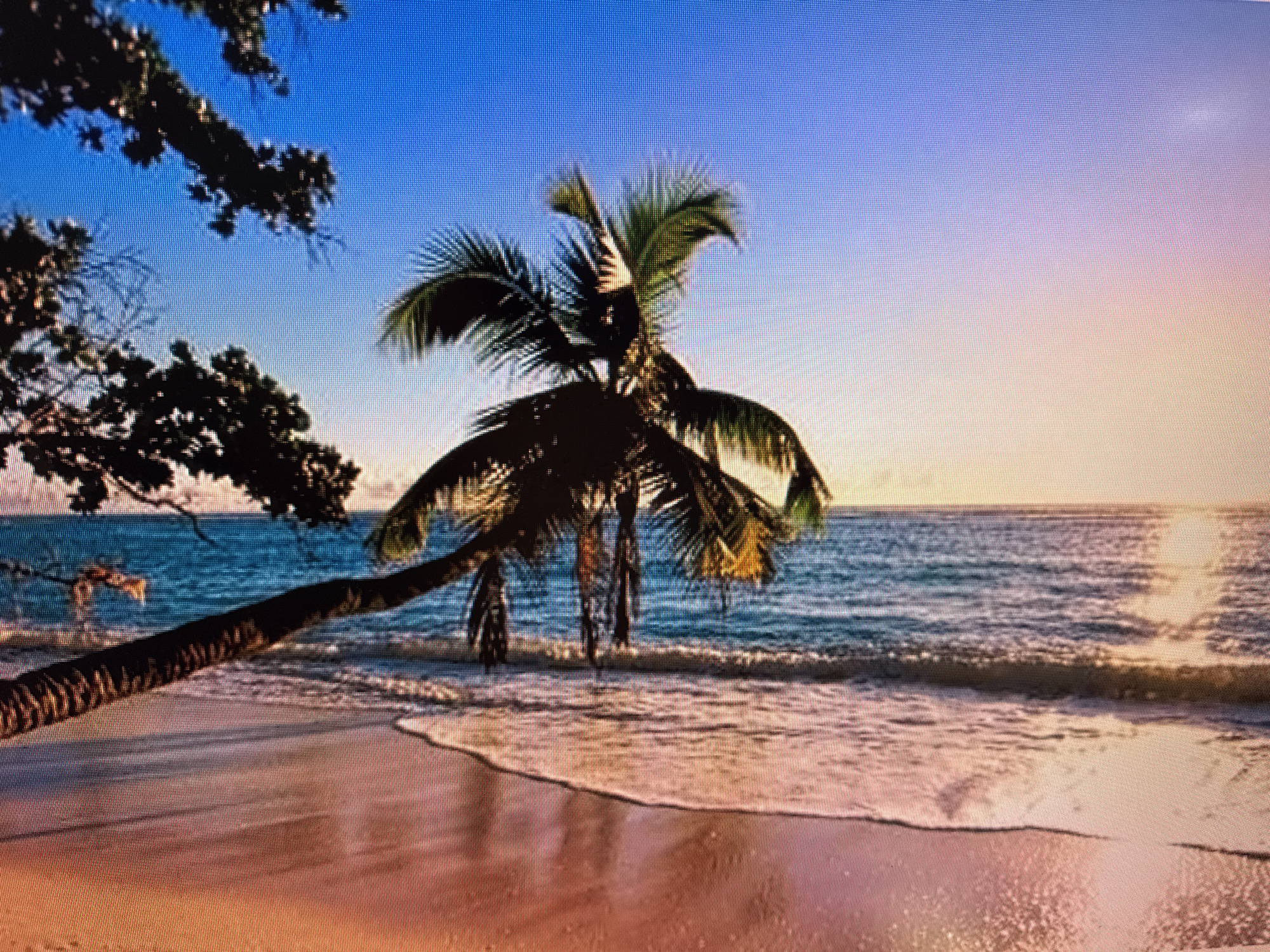 The image depicts a tropical beach scene with a palm tree leaning over the sand. The sun is setting, casting a warm glow on the scene and creating a serene atmosphere. The sky transitions from a clear blue at the top to a soft orange and pink hue near the horizon. Gentle waves lap at the shore, leaving a foamy white line on the wet sand. The palm tree, with its fronds silhouetted against the sky, adds to the idyllic setting. The sand appears smooth and wet from the tide. The overall impression is one of peace and tranquility, a perfect tropical getaway at dusk. There is no visible text in the image.