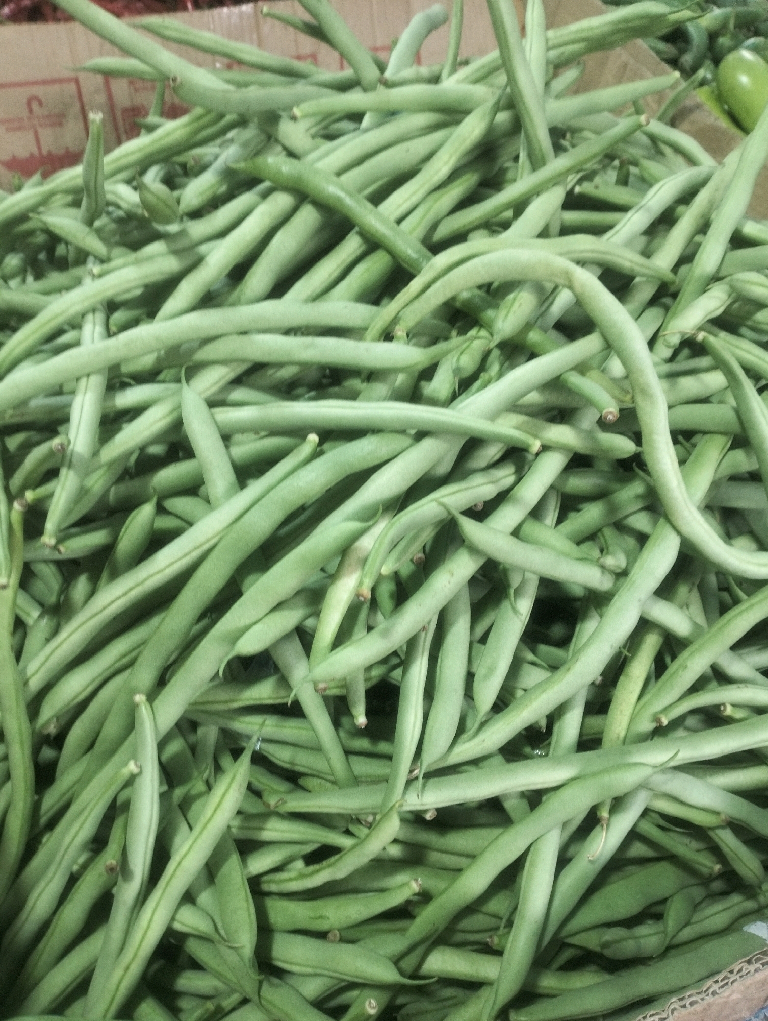 A close-up, overhead shot shows a large pile of fresh, green string beans. The beans are long, slender, and have a smooth texture. They are packed tightly together in what appears to be a cardboard box. The lighting is bright, casting subtle shadows and highlighting the vibrant green color of the beans. There are no people or other objects visible in the frame besides the string beans and the box. The scene is consistent with a market stall or grocery store display in Balik Alam, Indonesia, where fresh produce is commonly sold.