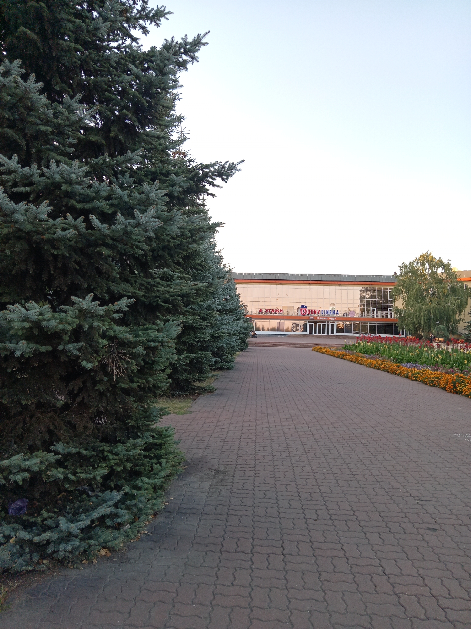 The image depicts a long paved walkway leading towards a modern building with a glass facade in Rudny, Kazakhstan. On the left side of the walkway, a row of tall, dense evergreen trees lines the path, creating a natural border. The walkway itself is constructed of interlocking dark grey paving stones, arranged in a uniform pattern that recedes into the distance.
The building in the background appears to be a commercial establishment, possibly a cinema or entertainment center, judging by the signage visible on its facade. One sign prominently displays "AUDIONCINEMA" in large letters, with Cyrillic text also present. The building has large windows and a contemporary architectural style. In front of the building, there is a vibrant flower bed filled with red and orange flowers, adding a splash of color to the scene. A few trees, including a leafy deciduous tree, are also visible on the right side of the building. The sky is a pale, clear blue, suggesting it's daytime, likely late afternoon or early evening given the soft lighting. There are no people clearly visible in the foreground, but there might be some indistinct figures near the entrance of the building. The overall impression is one of a well-maintained public space.