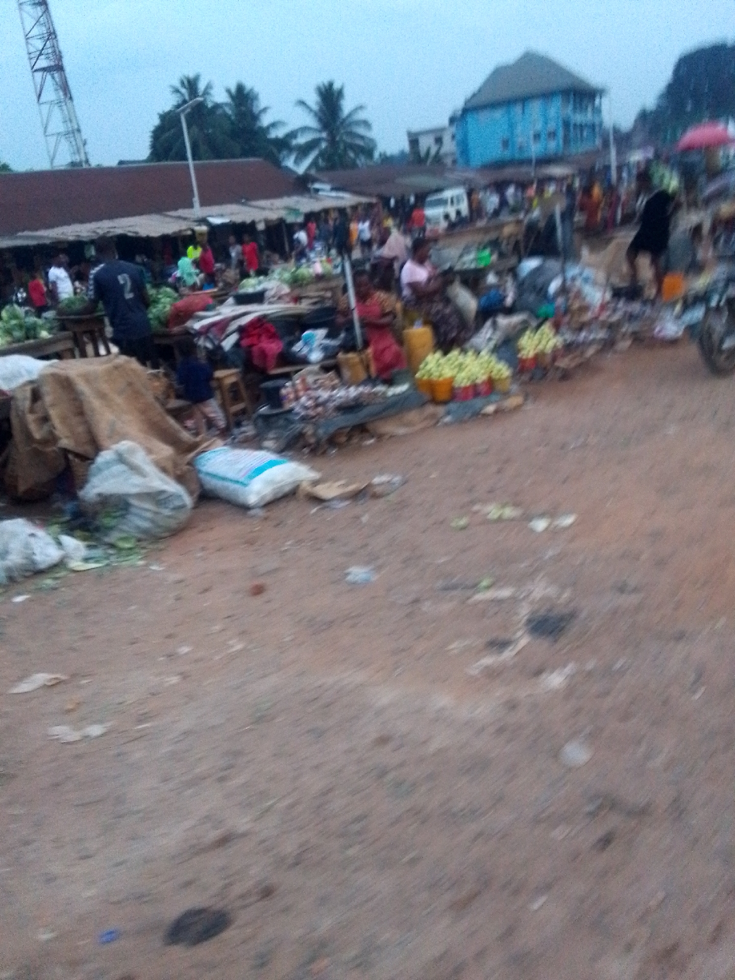 This image captures a bustling outdoor market scene in Orlu, Nigeria, under what appears to be overcast conditions, giving the light a soft, diffused quality. The photograph is somewhat blurry, especially in the foreground and background, suggesting movement or an out-of-focus shot.
The scene is dominated by numerous market stalls lining a wide, unpaved dirt path. These stalls feature makeshift awnings and are crowded with people. Many individuals are visible, though their faces and specific actions are largely indistinct due to the blur. Some appear to be vendors arranging their goods, while others are shoppers. One person in the left-midground wears a dark blue shirt with the number "2" clearly visible on the back.
Various goods are displayed for sale, including fresh produce like green leafy vegetables and other items, some placed in yellow and red buckets on the ground. Piles of clothes and other miscellaneous items are also scattered around the stalls. Large sacks and bags, including a white sack with faint, illegible text, are visible on the ground in the foreground, alongside scattered debris and leaves.
In the background, beyond the market stalls, stands a prominent light blue multi-story building. Other structures and what appears to be a white van are also visible amidst the crowd. On the far left, a tall metal communication tower rises above the market, and several palm trees dot the horizon, indicating a tropical or sub-tropical setting. To the far right, part of a motorcycle is visible. The ground is rough, unpaved earth, characteristic of an informal open-air market. The overall impression is one of a vibrant, active community hub.