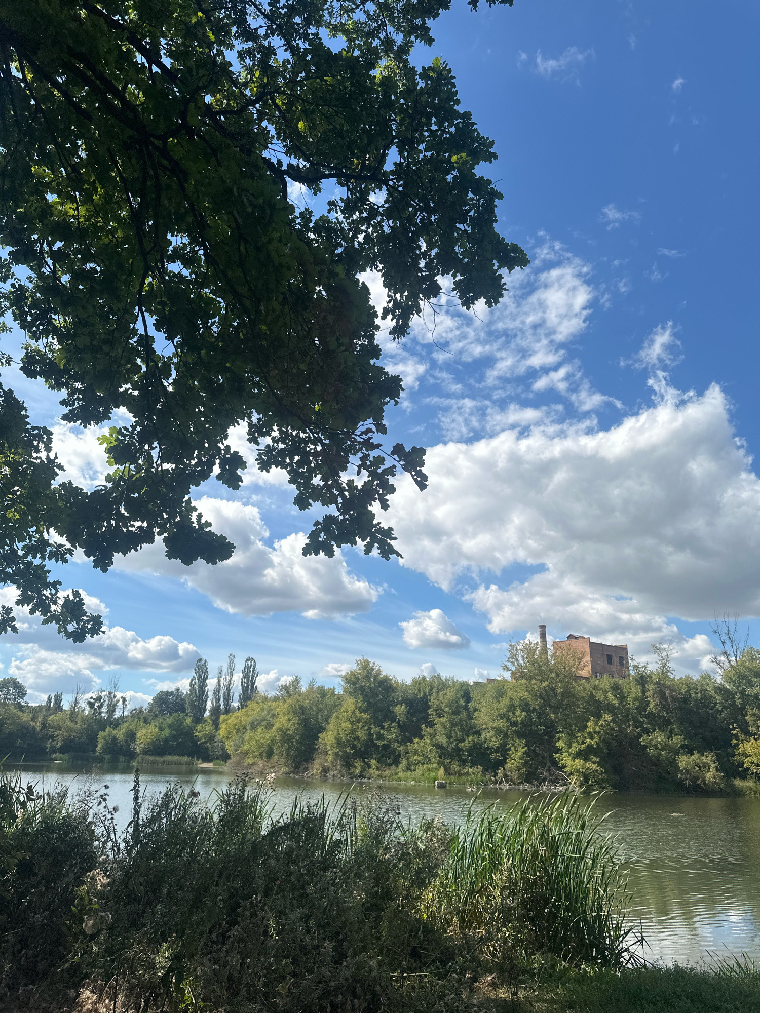 The image captures a serene natural landscape with a body of water in the foreground. A dense line of trees forms the backdrop, behind which a rustic brick building with a tall chimney stands on a slight elevation. The sky above is a vibrant blue, dotted with fluffy white clouds. In the foreground, lush green foliage and reeds line the edge of the water, with the branches of a large tree extending into the frame from the upper left. The overall impression is one of tranquility and natural beauty, hinting at a location in the city of Shatava, Ukraine, where such picturesque scenery might be found.