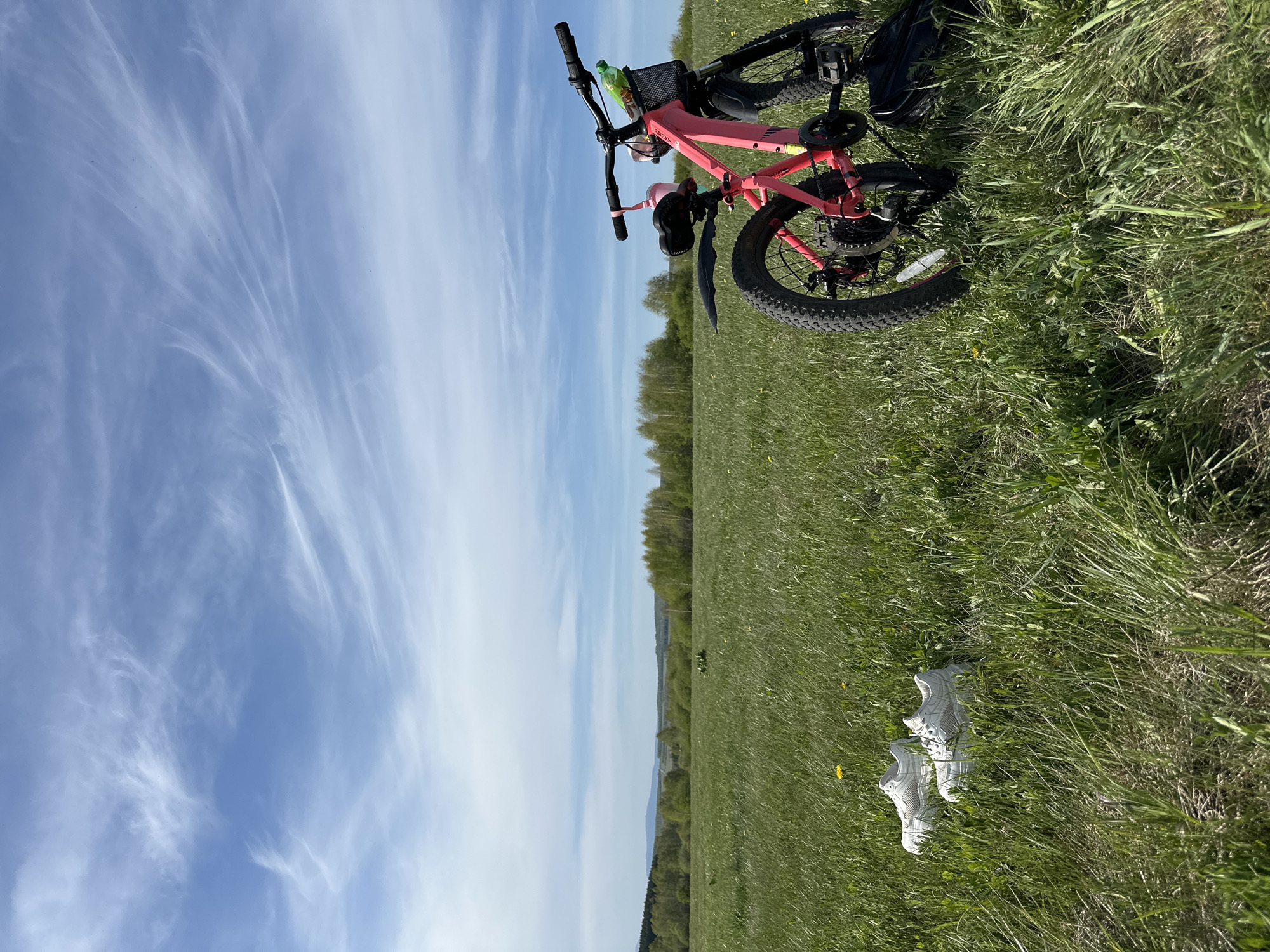 A medium shot of a bicycle laying in a grassy field. The bicycle is pink with black tires and a black seat. There is a water bottle in the bike's basket. Next to the bike, there are two white sneakers laying in the grass. Beyond the grass is a line of trees and a blue sky with wispy clouds.