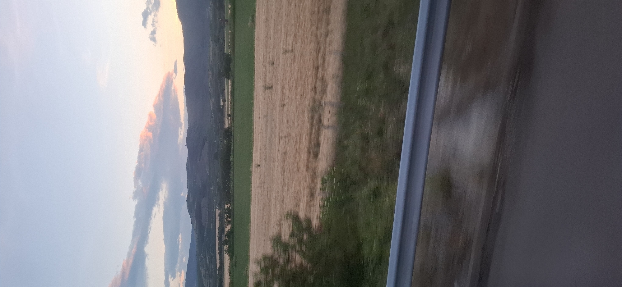 The image depicts a rural landscape with rolling hills in the background under a pale sky with scattered clouds tinged with pink and orange. In the middle ground, there are fields of golden-brown crops, possibly wheat, adjacent to a strip of vibrant green vegetation. A blurry dark green tree is visible in the foreground on the left. A metal guardrail runs horizontally across the lower part of the image, suggesting the photo was taken from a moving vehicle on a road or highway. The ground in the immediate foreground is dark and out of focus. The overall scene conveys a sense of twilight or early morning in a natural, undeveloped area. The location is Mursalevo, Bulgaria.