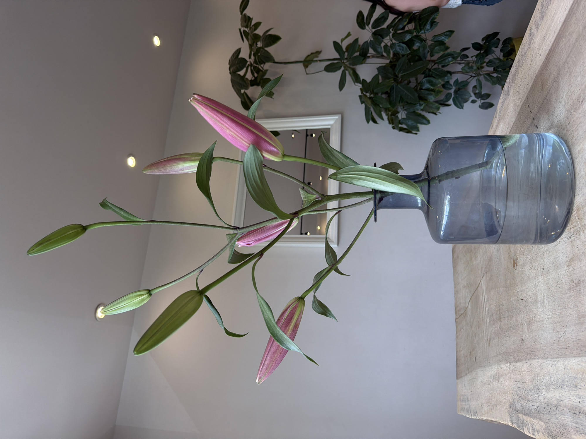 A low-angle, indoor shot shows a bouquet of lilies in a gray glass vase, positioned on a light-colored wooden surface. The flowers feature a mix of unopened buds and partially opened blooms with pink petals. Green leaves are scattered along the stems. The vase is filled with water. Behind the flowers, a framed mirror is visible, reflecting recessed lighting on the ceiling. Further back, a leafy green plant stands. The room has light gray walls and the recessed lighting casts a warm glow. The location is not explicitly stated or evident in the image. There are no actions or interactions depicted.