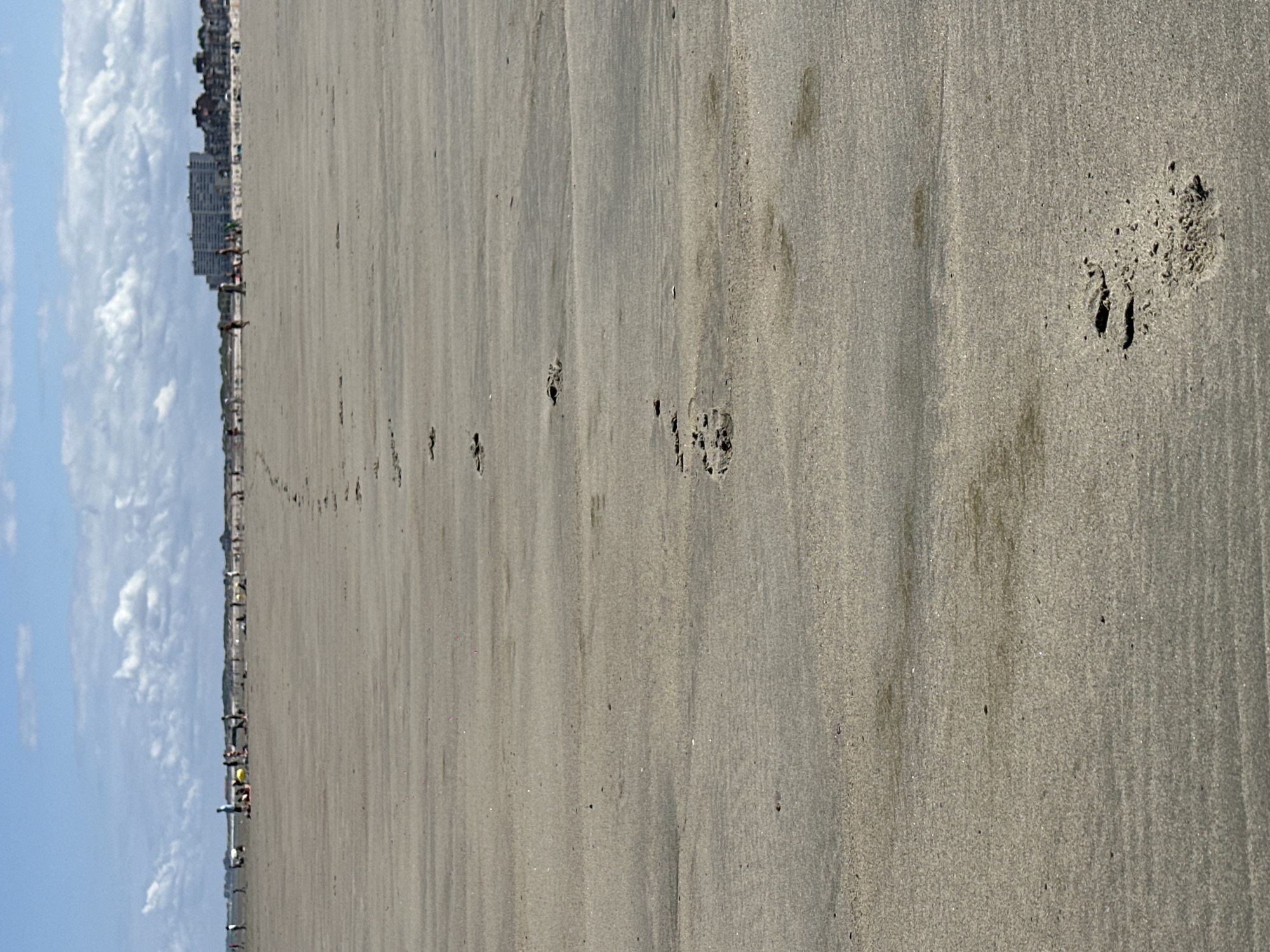 A wide, low-angle shot of a sandy beach shows a path of footprints leading into the distance. The sand is a light brown, with slight variations in tone indicating wet and dry areas. In the foreground, several clear footprints are visible. As the perspective recedes, the footprints become fainter and more numerous, forming a winding trail across the beach. In the far distance, a hazy line of buildings and a few scattered people are visible against a bright, cloudy sky. The scene is likely a public beach in Dunkirk, France, given the presence of the distinctive architecture in the background, which is characteristic of the region.