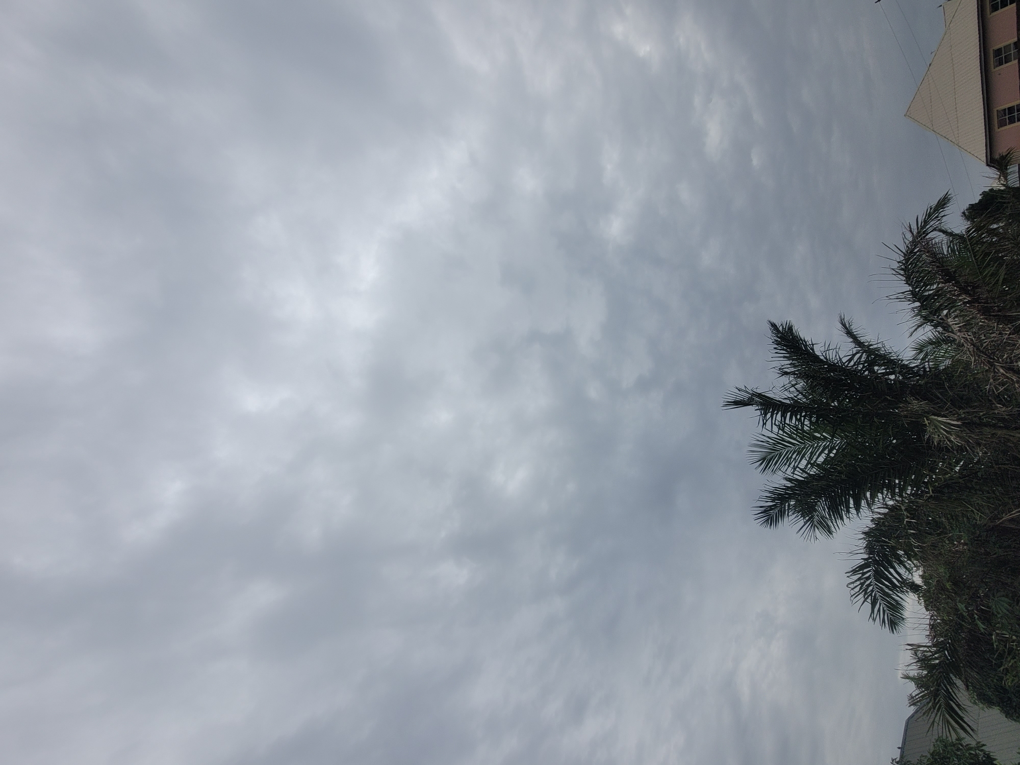 The image depicts a cloudy sky over a residential area in Barakin Akawo, Nigeria. The foreground is dominated by the lush green foliage of palm trees. To the left of the frame, the sloped, gray corrugated metal roof of a building is visible. To the right, a portion of a light pink building with a cream-colored, hipped roof and several visible windows is present. The sky is overcast with a thick layer of gray clouds, indicating a potentially overcast or rainy day. There are no people or discernable actions occurring in the scene.