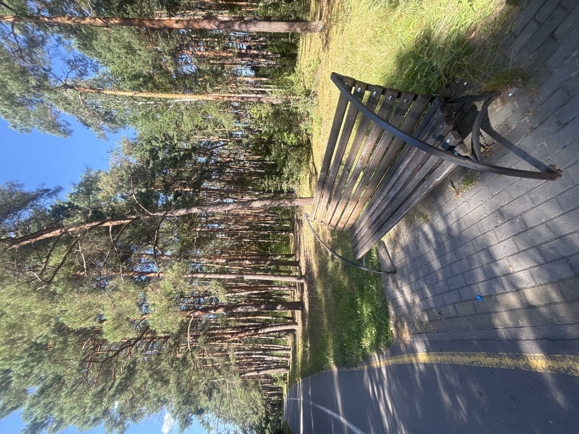 The image depicts a park scene in the city of Salihorsk, Belarus. In the foreground, a wooden park bench with dark metal legs sits on a paved walkway made of rectangular gray bricks. A paved path, likely a bicycle or pedestrian lane, runs alongside the walkway, marked with a white line and a yellow line on its edge. Beyond the walkway and path, a grassy area is visible, leading into a dense forest of tall pine trees. The trees have reddish-brown trunks and green needles, and the forest floor is covered in grass and fallen pine needles. Sunlight filters through the trees, creating dappled shadows on the walkway and the ground. The sky is a clear, bright blue. There are no people visible in the image.