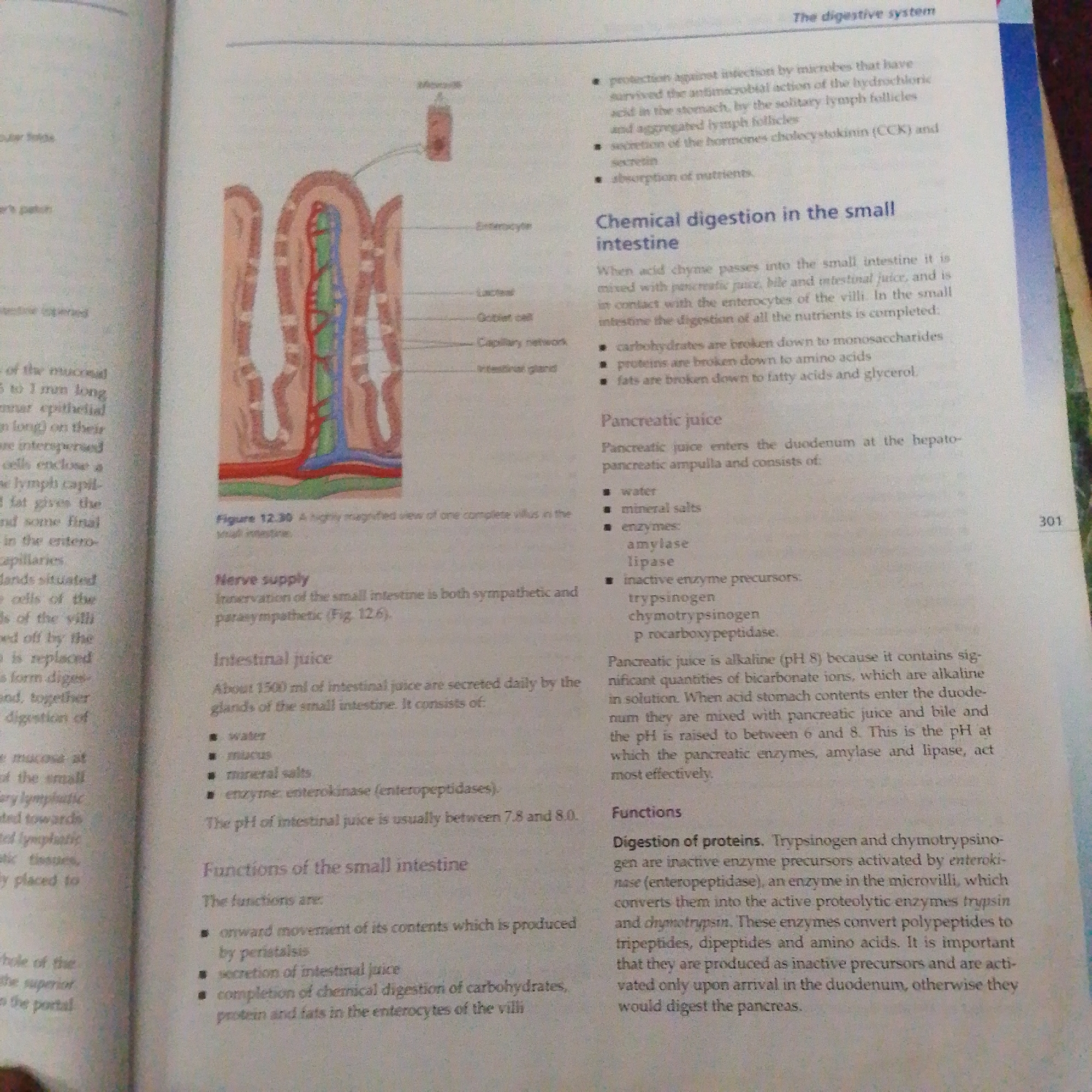 The image shows a page from a textbook discussing the digestive system. The left side of the page contains a diagram of a villus in the small intestine, with labels such as "Mucosa," "Enterocyte," "Lacteal," "Goblet cell," "Capillary network," and "Intestinal gland." There is also text describing the structure of the intestinal wall and its components.
The right side of the page has sections titled "The digestive system," "Chemical digestion in the small intestine," "Pancreatic juice," "Nerve supply," "Intestinal juice," and "Functions of the small intestine." The text discusses the processes of digestion, the composition of digestive juices, and the roles of various enzymes.
The image does not contain any information about Jalingo, Nigeria, or any elements that would suggest a scene within a city. Therefore, no description of Jalingo, Nigeria, can be provided.