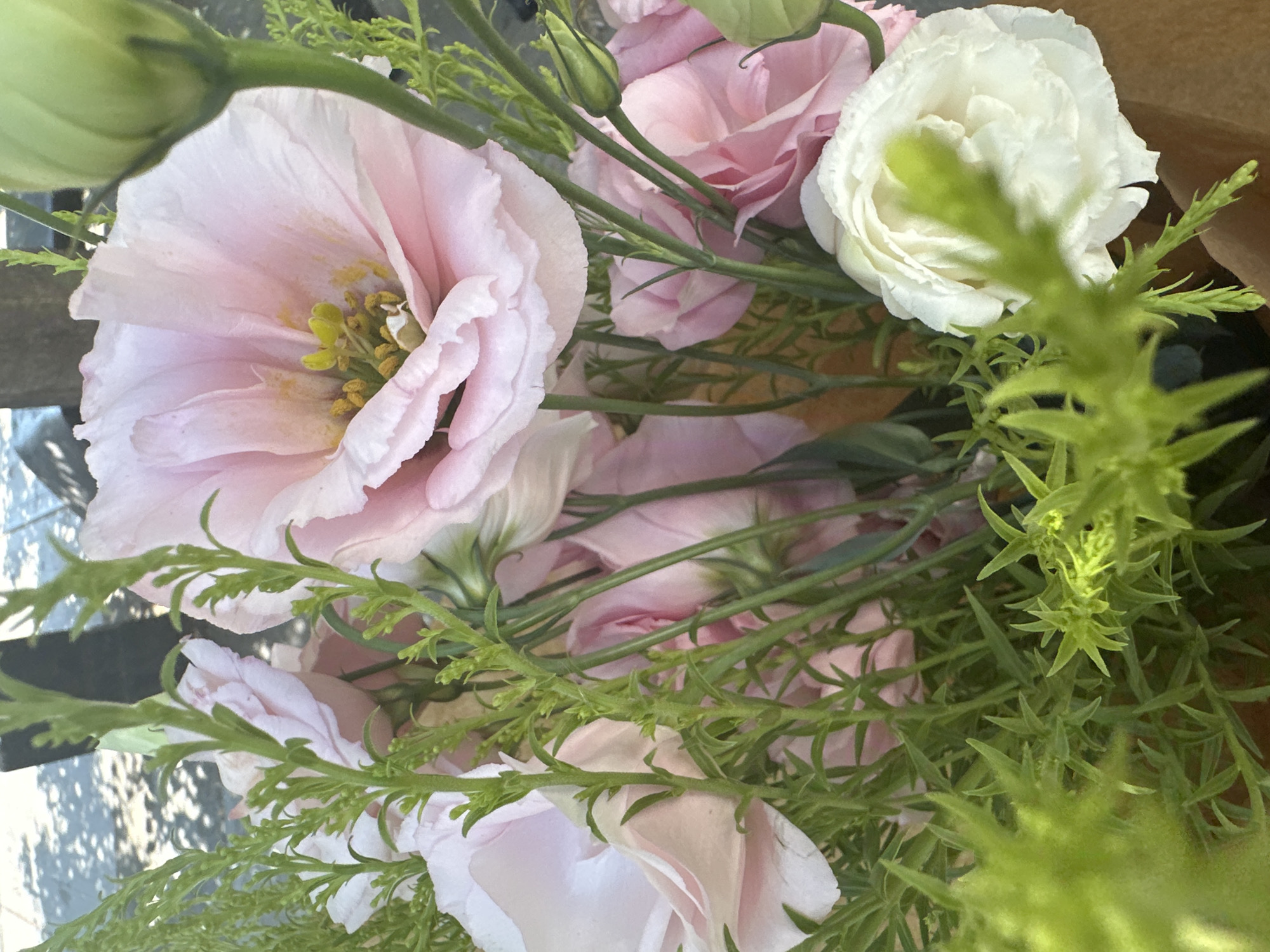The image displays a close-up view of a bouquet of flowers, predominantly featuring light pink eustomas and a single white rose. The flowers are arranged with various green foliage, including feathery ferns and slender stems. The background is blurred, but hints of dappled sunlight suggest an outdoor setting, possibly in a park or garden. The presence of what appears to be a brown paper bag at the bottom right indicates the bouquet might be recently purchased or arranged. No people or specific city landmarks are visible. The scene is well-lit, with soft natural light highlighting the delicate textures of the petals and leaves.