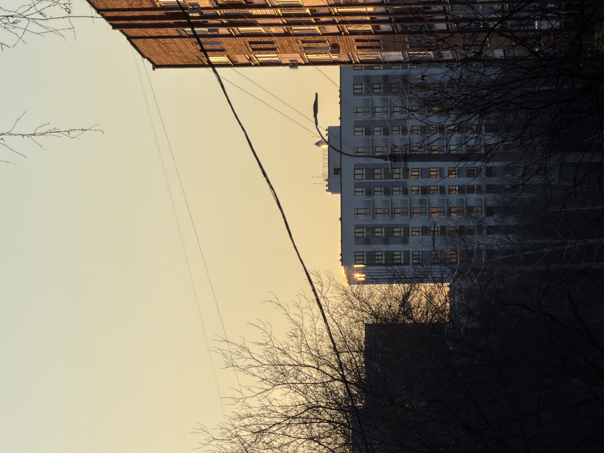 The image captures a twilight scene in Izhevsk, Russia. Two buildings, one brick and one concrete, dominate the upper portion of the frame. A network of bare tree branches occupies the lower section, partially obscuring the view. Power lines stretch across the pale sky. The light suggests either sunrise or sunset.