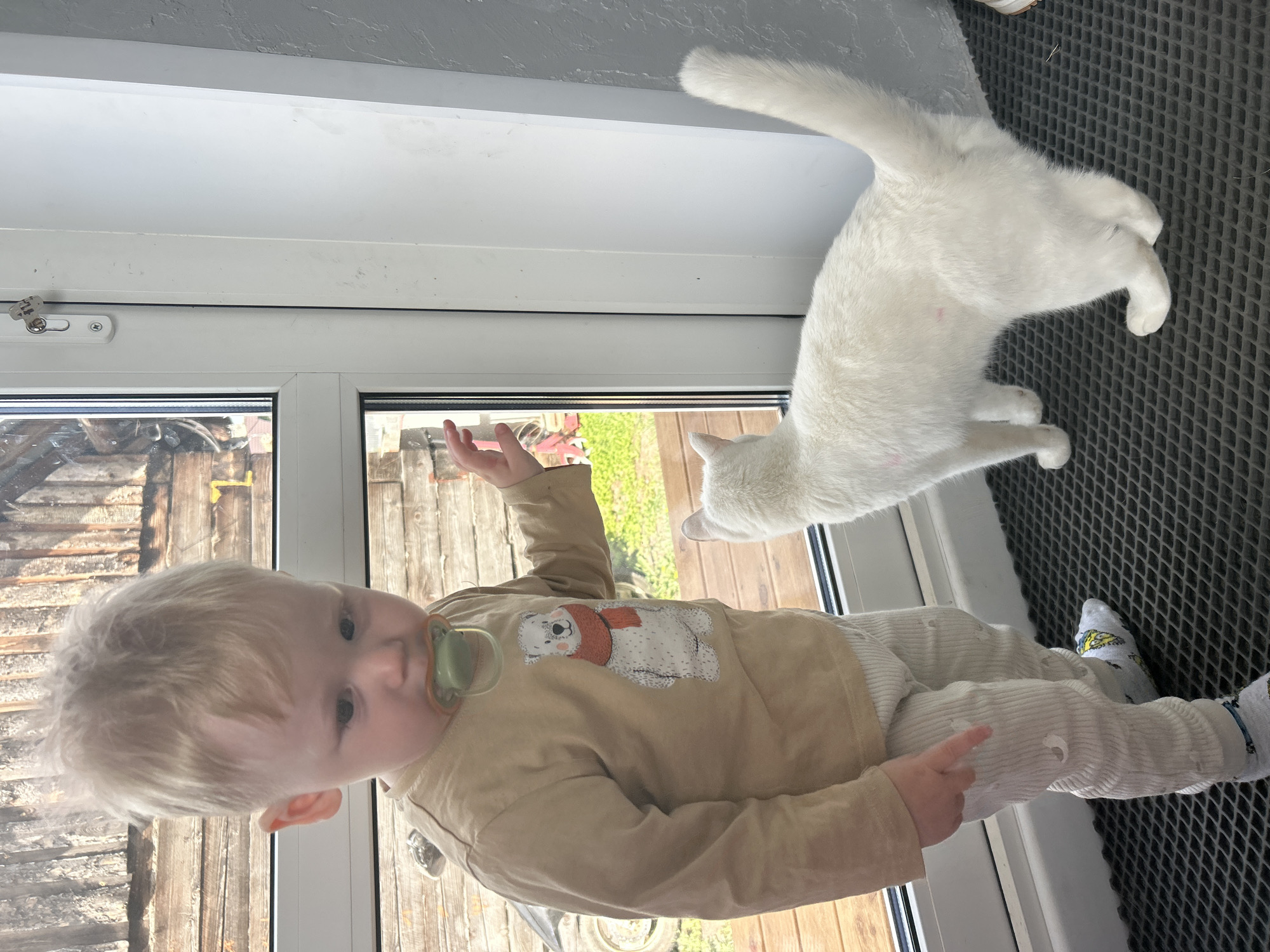 A baby with blond hair and a pacifier is standing in front of a window next to a white cat. The window looks out onto a wooden fence and green foliage. The baby is wearing a beige shirt with a polar bear graphic and light-colored pants. The cat is positioned on a dark gray mat next to the window. The scene appears to be indoors, possibly in a residence. No information indicates location in the city of Chaikovsky, Russia.