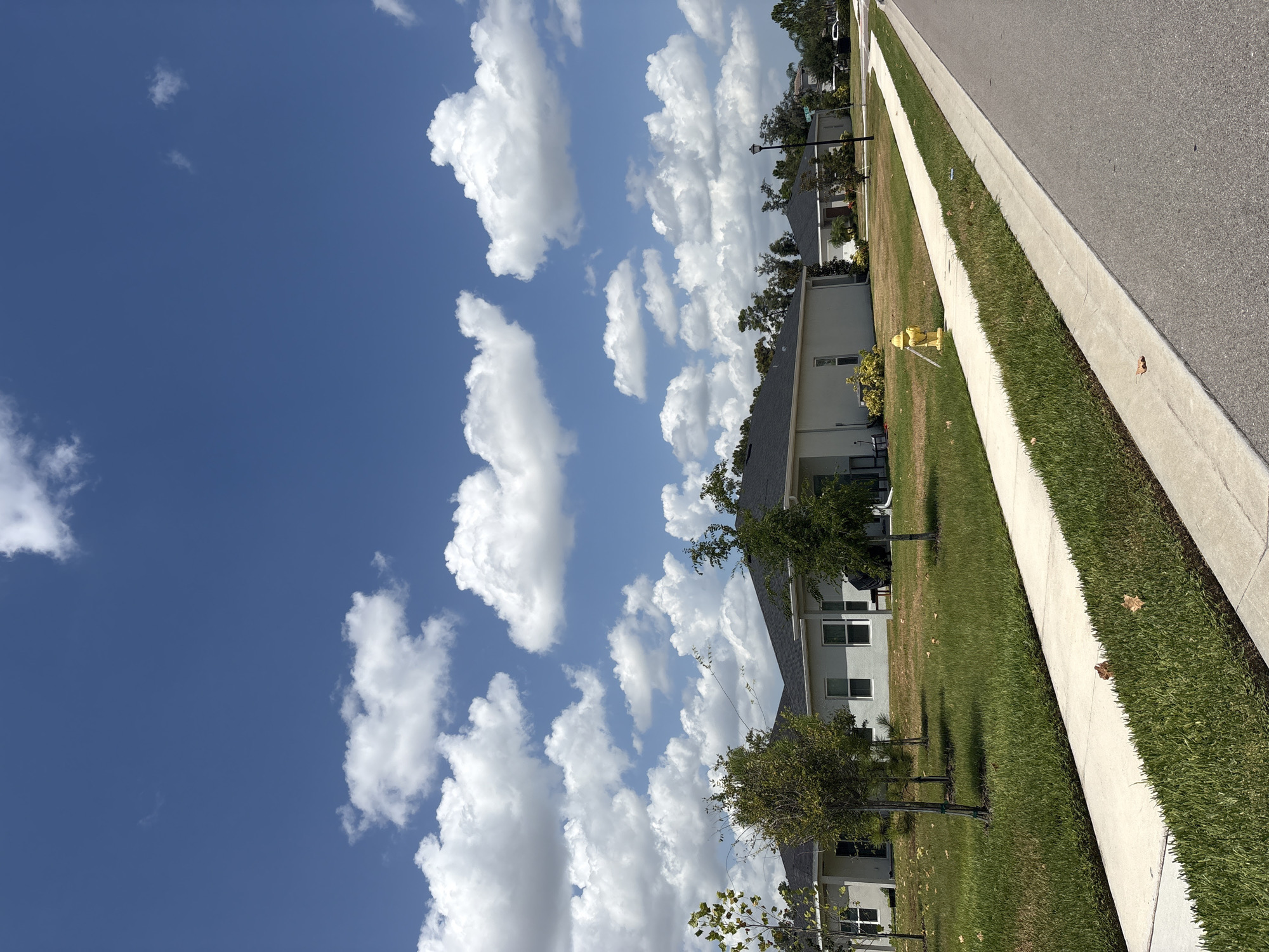 The image depicts a suburban street scene in Bradenton, Florida. A paved road runs diagonally from the top right to the bottom left of the frame, bordered by a concrete sidewalk and a strip of well-maintained green grass. Beyond the grass, a row of modern, light-colored houses with gray roofs are visible. Some houses have manicured landscaping, including small trees and shrubs. A bright yellow fire hydrant stands near the sidewalk in front of one of the houses. The sky is a vibrant blue, dotted with fluffy white cumulus clouds. The scene suggests a bright, sunny day. The image appears to be taken from a low angle, looking up at the sky and across the street. There are no people visible in the image. The overall impression is one of a peaceful, typical suburban environment.