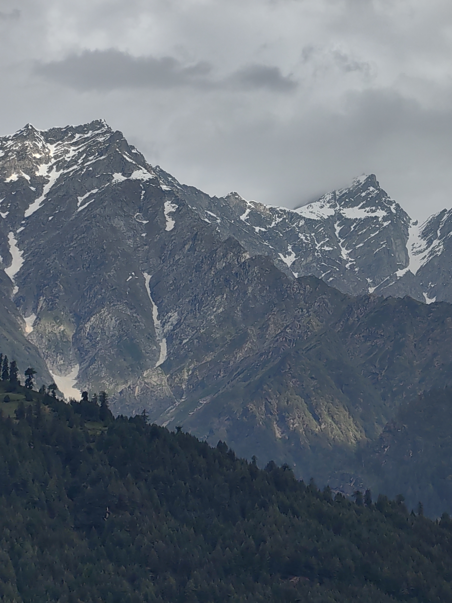 A scenic view of snow-capped mountains rises above a dense forest in Vashisht, India. The mountains are rugged and rocky, with patches of white snow clinging to their peaks and crevices. The sky above is overcast with gray clouds, creating a dramatic and somewhat somber atmosphere. In the foreground, a steep, tree-covered slope descends from left to right, with the dark green foliage of pine trees filling the lower portion of the frame. A single bird can be seen flying in the distance, silhouetted against the trees. The lighting suggests it is late afternoon or early morning, with soft, diffused light casting shadows and highlighting the textures of the landscape.
