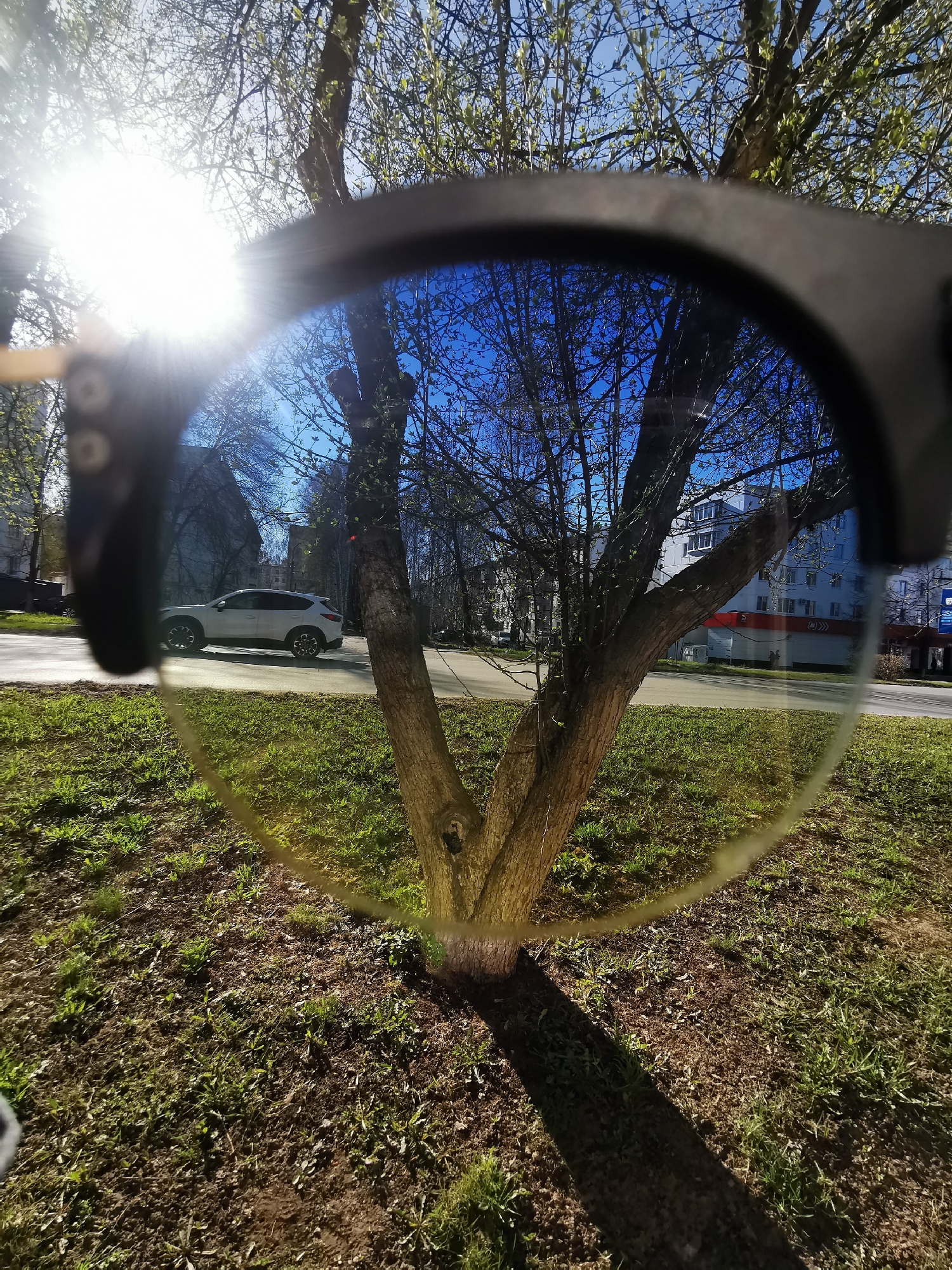 The image shows a tree in focus viewed through blue-tinted sunglasses. The tree has a V-shaped trunk and is surrounded by green grass. A shadow is cast by the tree. Outside the sunglasses' view, a white car is parked on a street. Buildings are visible in the background, suggesting an urban setting. The sun is shining brightly. The city location is Unknown, Unknown.