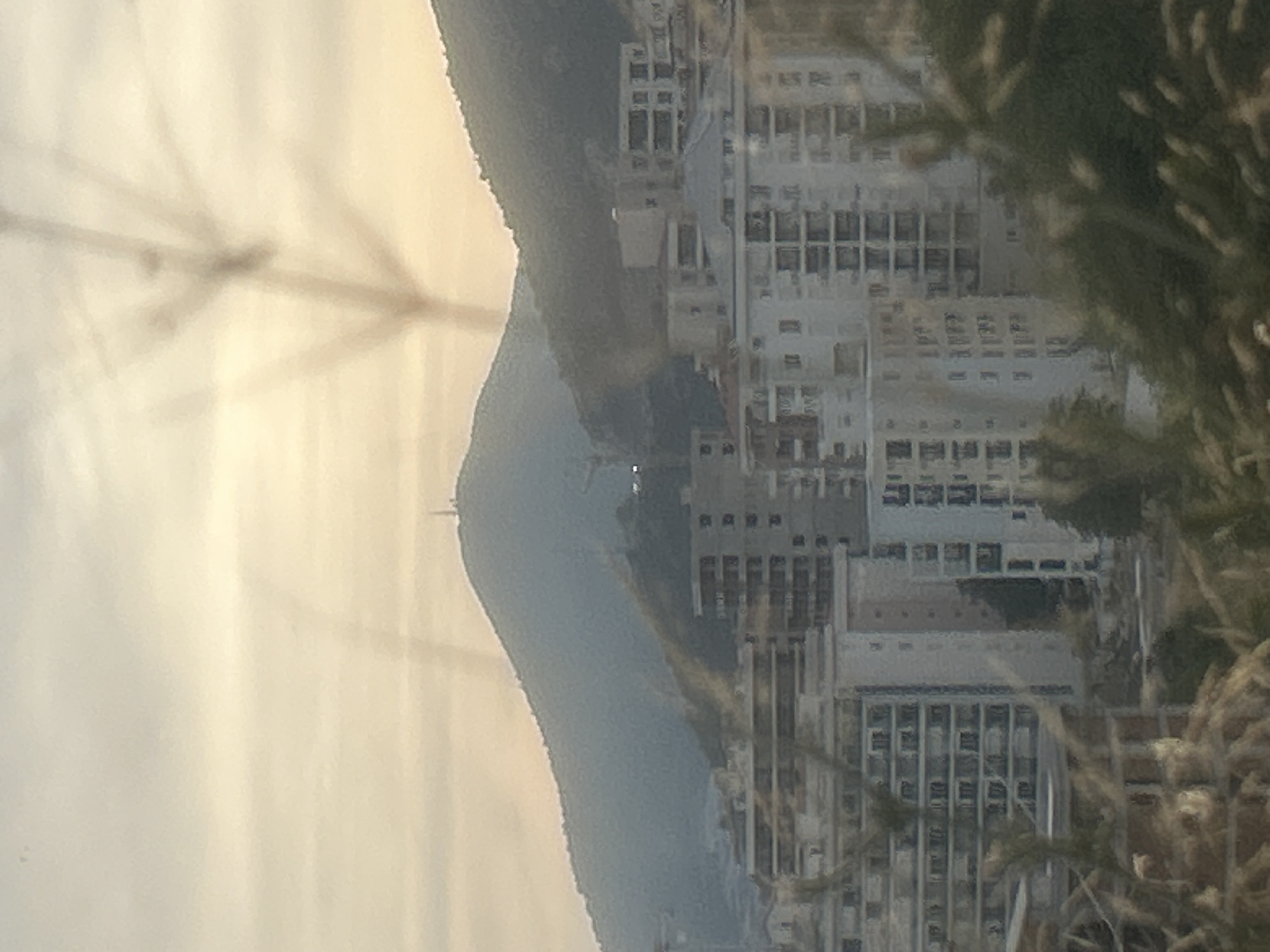 The image shows a panoramic view of the city of Rafailovići, Montenegro, with a mountain range in the background. The sky is overcast with a light, hazy appearance, suggesting it might be dawn or dusk. In the foreground, out-of-focus dry grasses and plant stalks obscure parts of the view, creating a sense of depth and distance.
The middle ground is dominated by several multi-story apartment buildings, characterized by their white or light-colored facades and numerous balconies. These buildings are densely packed together, indicating a developed urban area. Some of these structures feature visible window panes and architectural details like railings on the balconies.
Further in the background, the slopes of the mountain are visible, covered in a bluish-grey haze that partially obscures the details. A thin, vertical structure, possibly a radio tower or a tall antenna, is discernible on the peak of the mountain. The overall scene captures a residential area nestled against a natural landscape, with a serene, almost muted color palette. There are no visible people or discernible activity in the image.