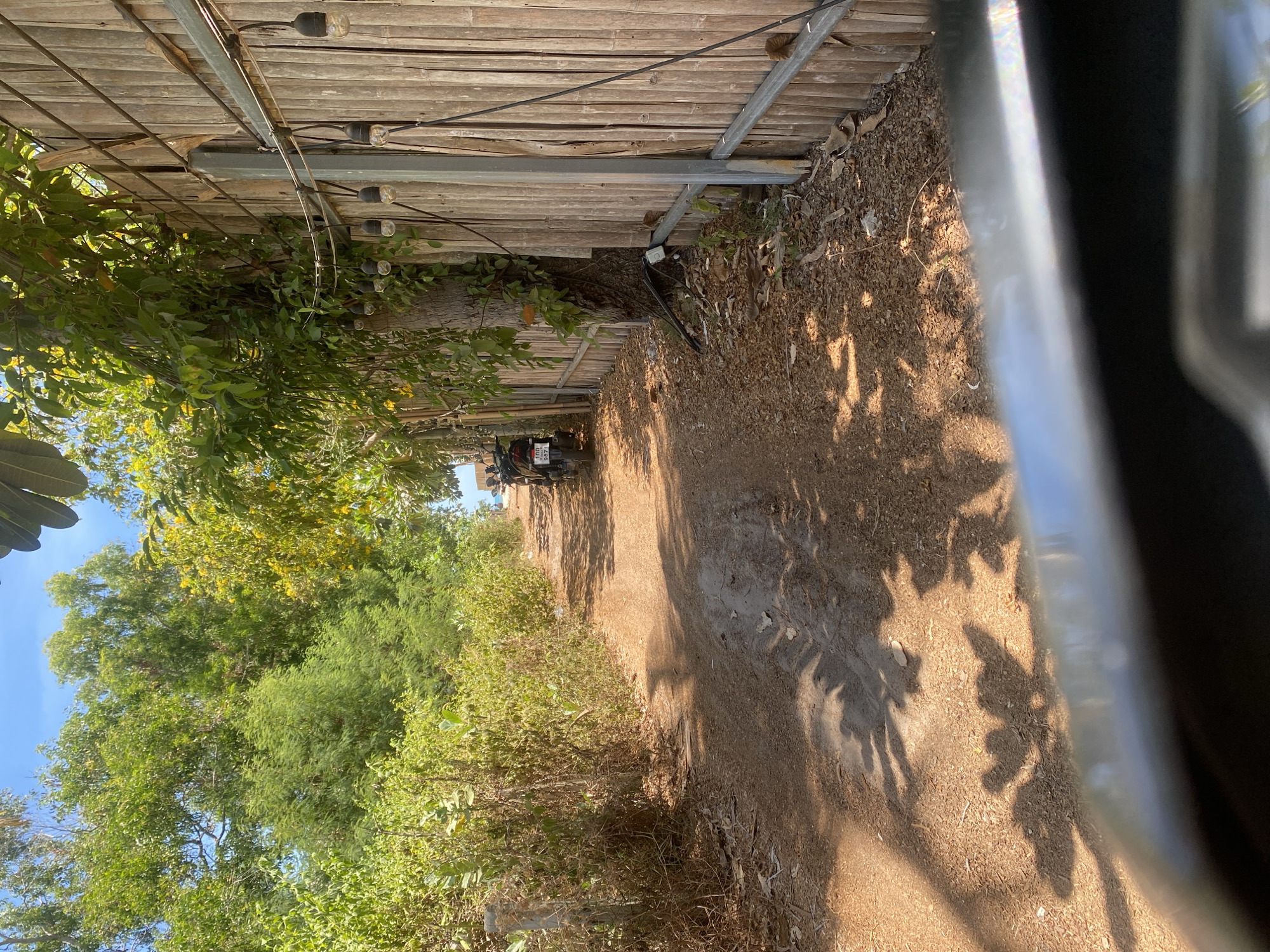The image captures a sunlit, unpaved dirt path in a rural or semi-rural setting, likely Moo 1, Thailand, given the context and visible license plate. The path extends into the distance, appearing to curve slightly.
On the left side of the path, a tall fence or wall constructed from horizontal wooden planks or bamboo slats runs parallel to the path. Metal support beams reinforce this structure. Along the top of this fence, a string of decorative outdoor lights with clear, exposed bulbs is strung. Green vines and foliage are seen growing on and around the wooden structure, blending with the natural environment.
To the right of the path, a dense expanse of green trees and bushes forms a natural barrier. Some of these trees exhibit yellow blossoms, adding a touch of color. A clear, bright blue sky is visible above the tree canopy.
On the dirt path, in the mid-ground, a black motorcycle is parked or stopped. Its license plate is partially visible, showing Thai script and the numbers "987," confirming the Thai location. The ground itself is covered in dry leaves and dirt, with subtle indentations from tire tracks or footsteps.
Strong, angular sunlight casts prominent, elongated shadows of trees and foliage across the path, suggesting it is either morning or late afternoon. The overall weather appears clear and sunny. A blurred, metallic, possibly curved object occupies the immediate bottom right foreground, indicating the perspective from within a vehicle or behind a barrier. No people are visible in the scene. The atmosphere is peaceful and natural.