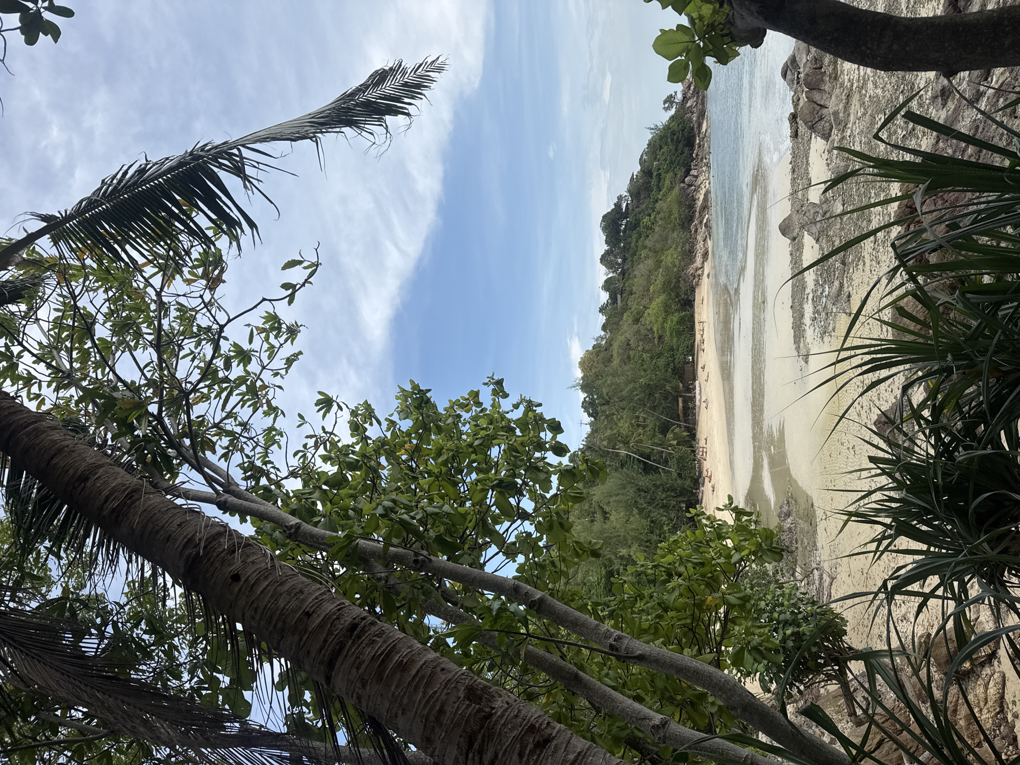 Captured from a low vantage point in ตำบลเกาะพะงัน, Thailand, the image presents a beach scene partially obscured by foliage. The blue sky, scattered with clouds, is visible through the trees. The beach stretches along the coastline, bordered by rocks and dense vegetation. Some people can be seen along the beach. The foreground features an assortment of trees.