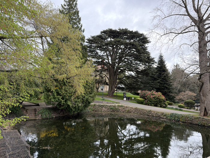 The image depicts a park scene centered on a still body of water, likely a pond, under an overcast sky. The location is Priory Park in Malvern, Malvern Hills, United Kingdom.
In the foreground, the dark, reflective water surface occupies the lower half of the frame, showing indistinct reflections of the sky and surrounding trees. Scattered debris is visible on the water. In the bottom-left quadrant, a grid-like metal structure is partially submerged near the water's edge.
The pond is bordered by a sloped bank retained by stonework. On the left side of the bank, a stone staircase with two visible steps descends towards the water. Above the bank, a curved paved pathway, appearing dark in color, runs from left to right across the midground. Adjacent to this pathway, various landscaped plants include manicured green shrubs and bushes with pinkish-red blooms, consistent with rhododendrons or azaleas. Several information signs are positioned along the pathway.
Dominating the background are numerous mature trees. A large, spreading evergreen tree with dense, dark foliage stands prominently in the center-left. To its immediate right, a tall, slender evergreen conifer stands. Further right, a tall, bare deciduous tree with thick branches is visible. On the far left, another tall deciduous tree displays light green catkins or early spring foliage. Portions of a light-colored building with a reddish roof are visible behind the large central evergreen tree, suggesting adjacent structures to the park. No individuals are present within the scene. The overall lighting is soft and diffused, indicating an overcast condition.