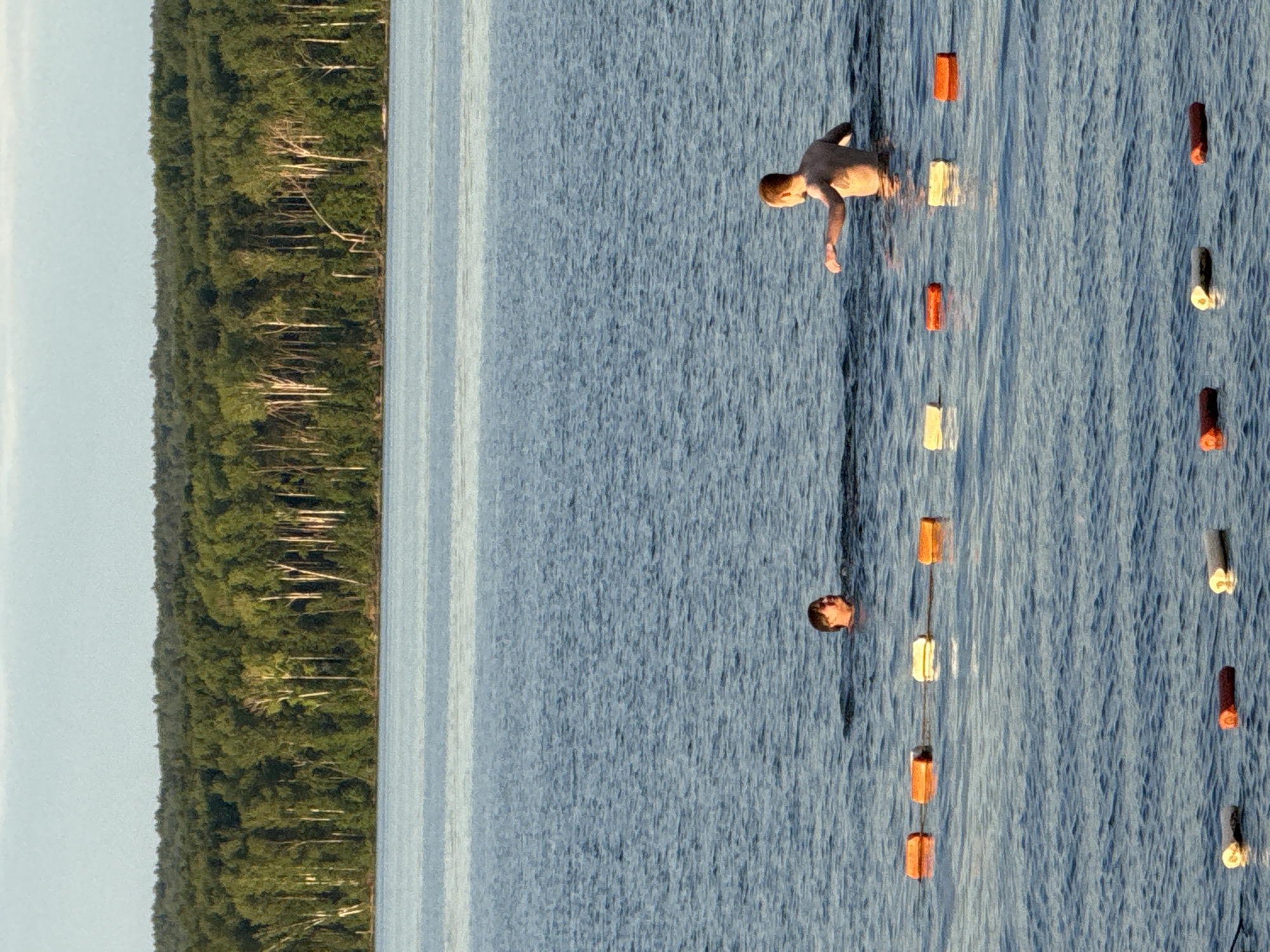 The image depicts an outdoor water scene in the city of Chaikovsky, Russia, under natural daylight. A large body of water occupies the lower two-thirds of the frame, with a dense, verdant forest line forming the distant horizon. The sky above the forest is light blue with subtle cloud cover. The forest consists primarily of deciduous trees, with notable instances of tall, slender trees featuring light-colored bark, possibly birches, interspersed among darker green foliage. The water surface exhibits gentle ripples and reflects the pale sky.
Two individuals are present in the water. On the left, a person is largely submerged, with only their head and upper neck visible above the water, facing towards the right. Their hair appears dark. On the right, another individual is standing or wading in the water, with their torso and arms visible above the surface. This person is facing towards the left, with their right arm slightly extended. Direct sunlight illuminates their skin.
A horizontal line of cylindrical buoys spans across the mid-distance of the water. This line consists of alternating orange and light-colored (white or yellow) buoys, connected by a thin dark line. Closer to the foreground, a second, parallel line of similar cylindrical buoys is visible, featuring red-orange and light-colored (white or yellow) variants. An additional light-colored buoy is partially visible in the bottom-left corner of the frame.